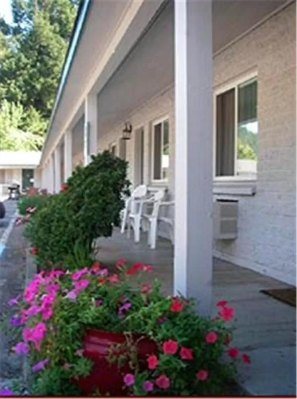 Patio in Forest Lodge Motel