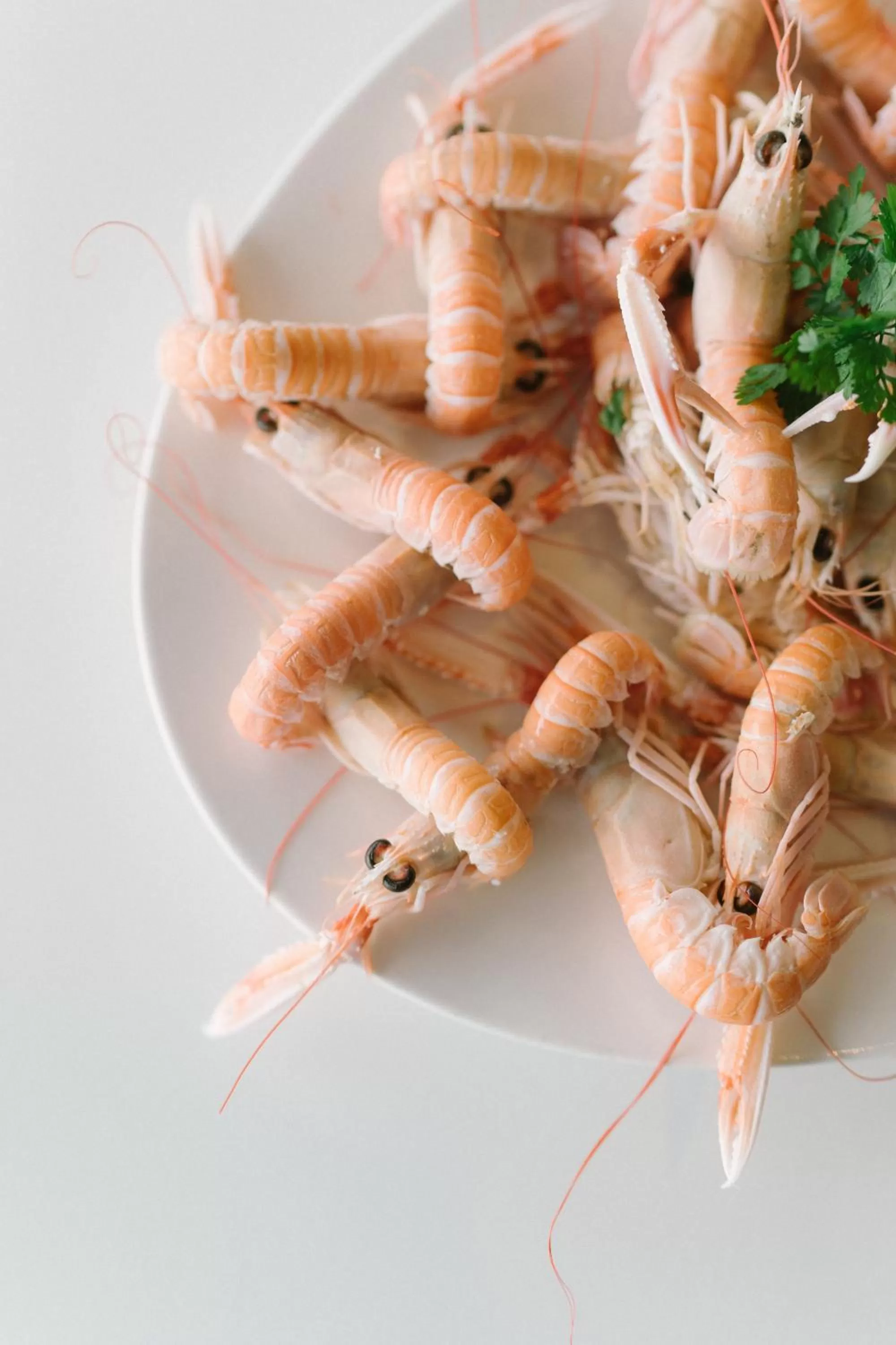 Restaurant/places to eat in Hotel Du Bac