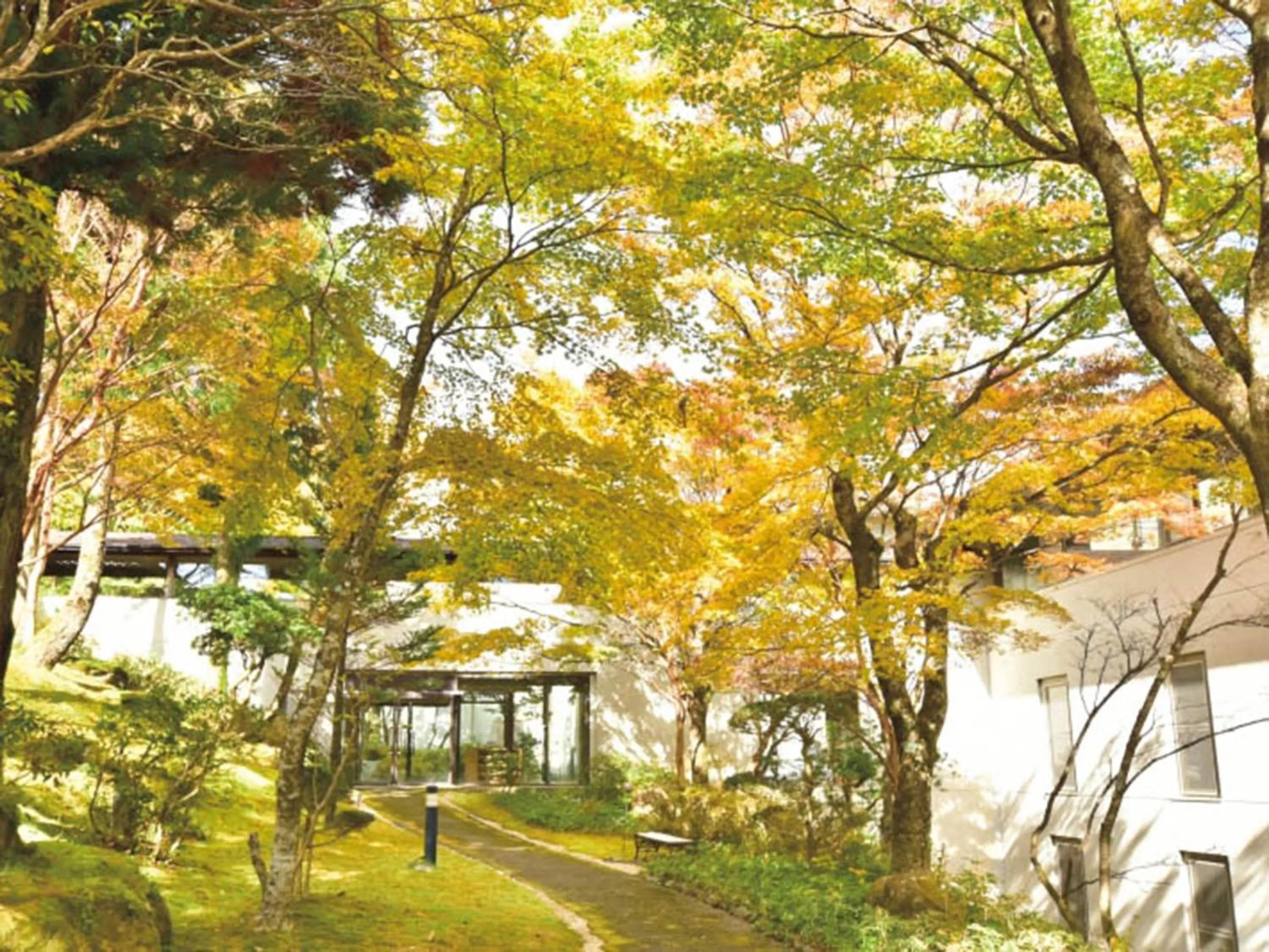 Natural landscape in Hakone Yunohana Prince Hotel