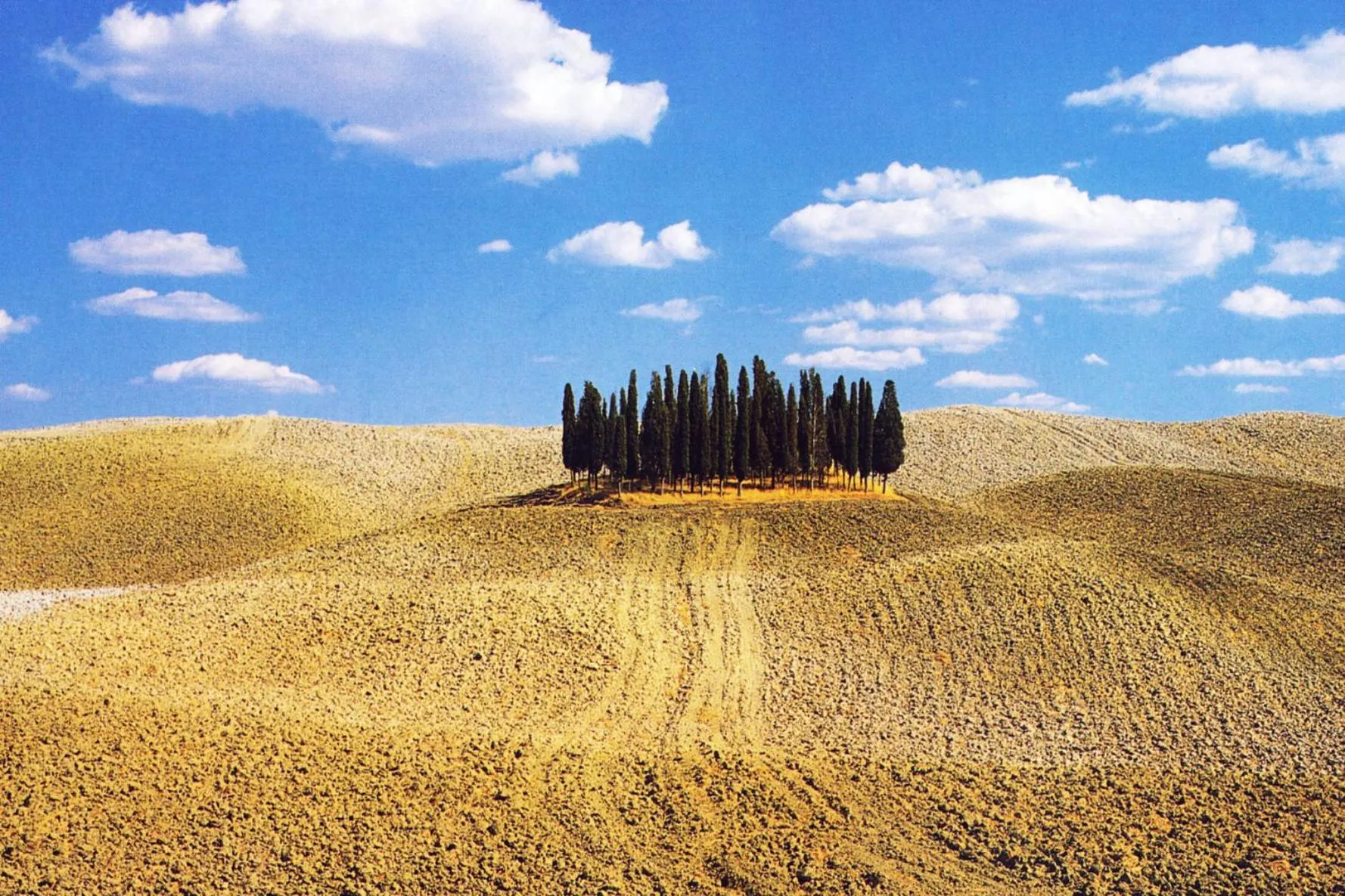 Natural landscape in Hotel Palazzuolo