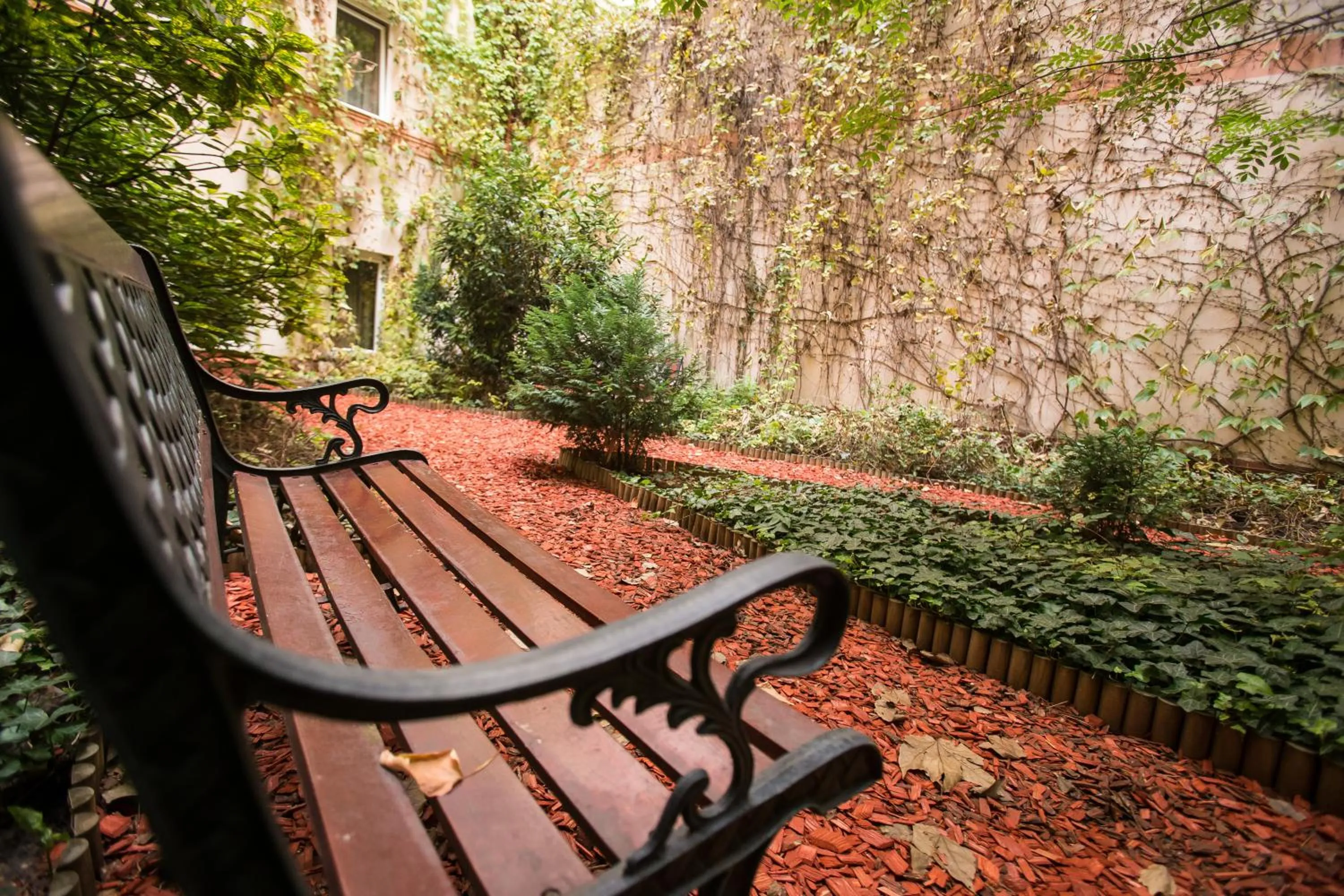 Garden in City Home Budapest