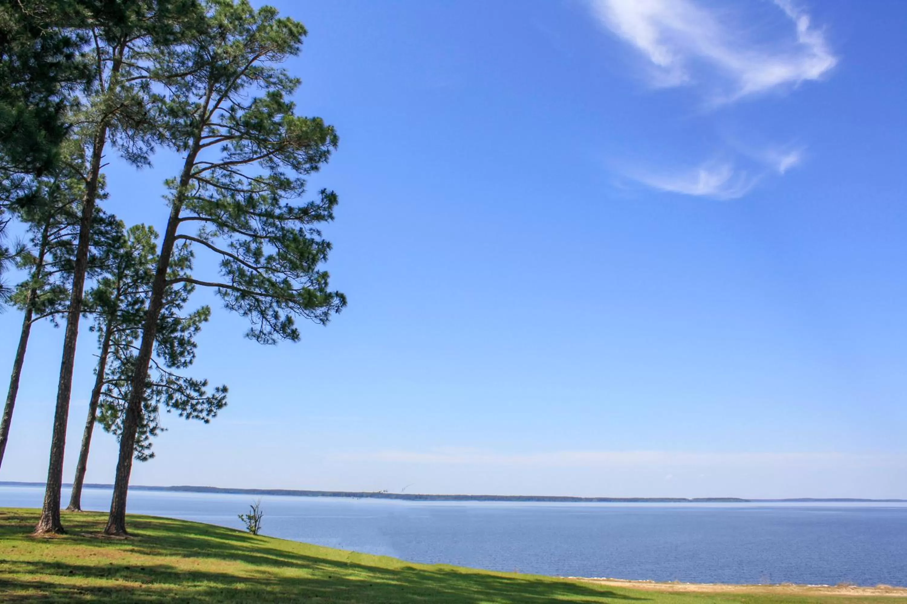 Nearby landmark in Rayburn Inn
