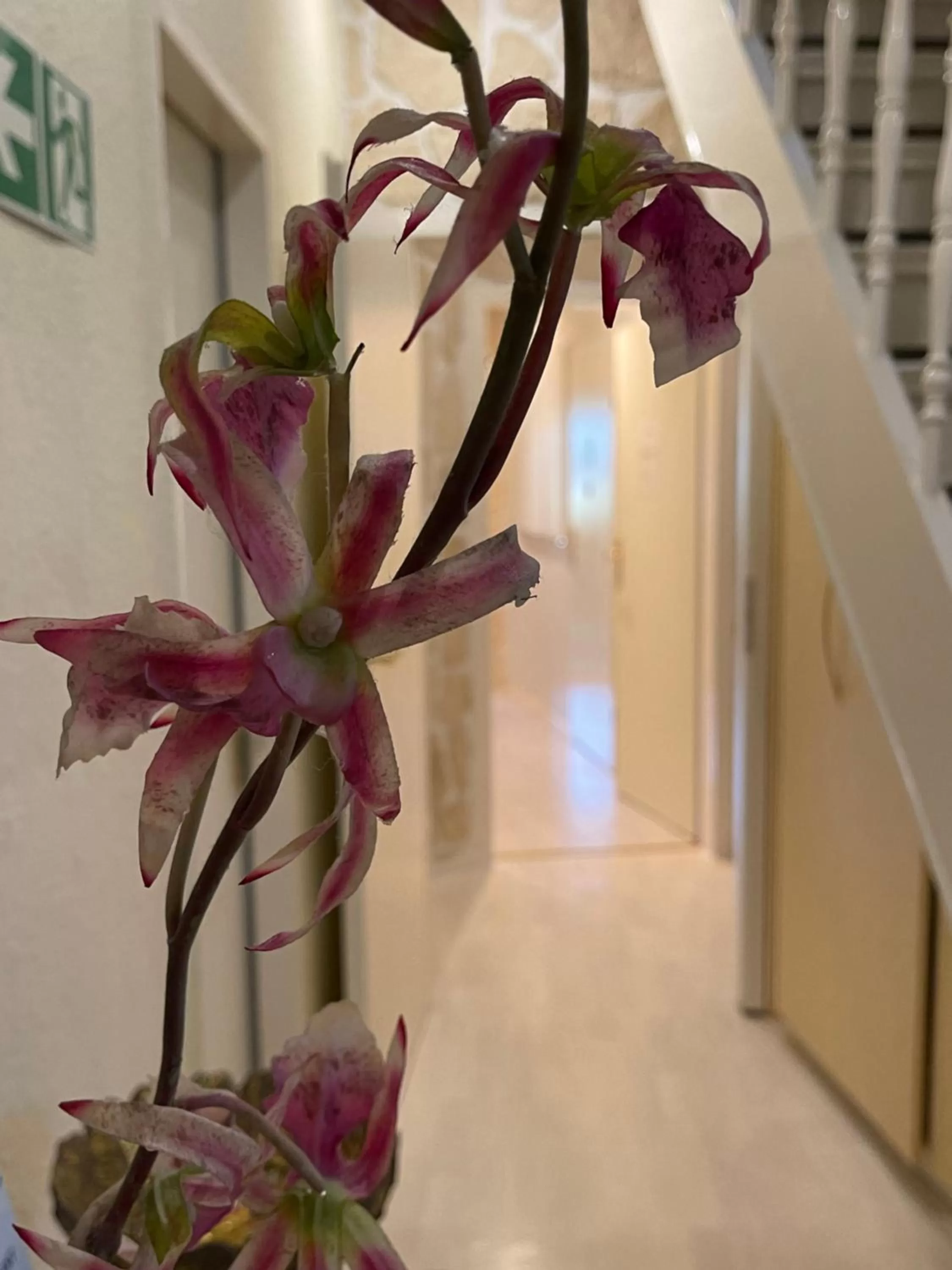 Hotel Villa Vital Munster