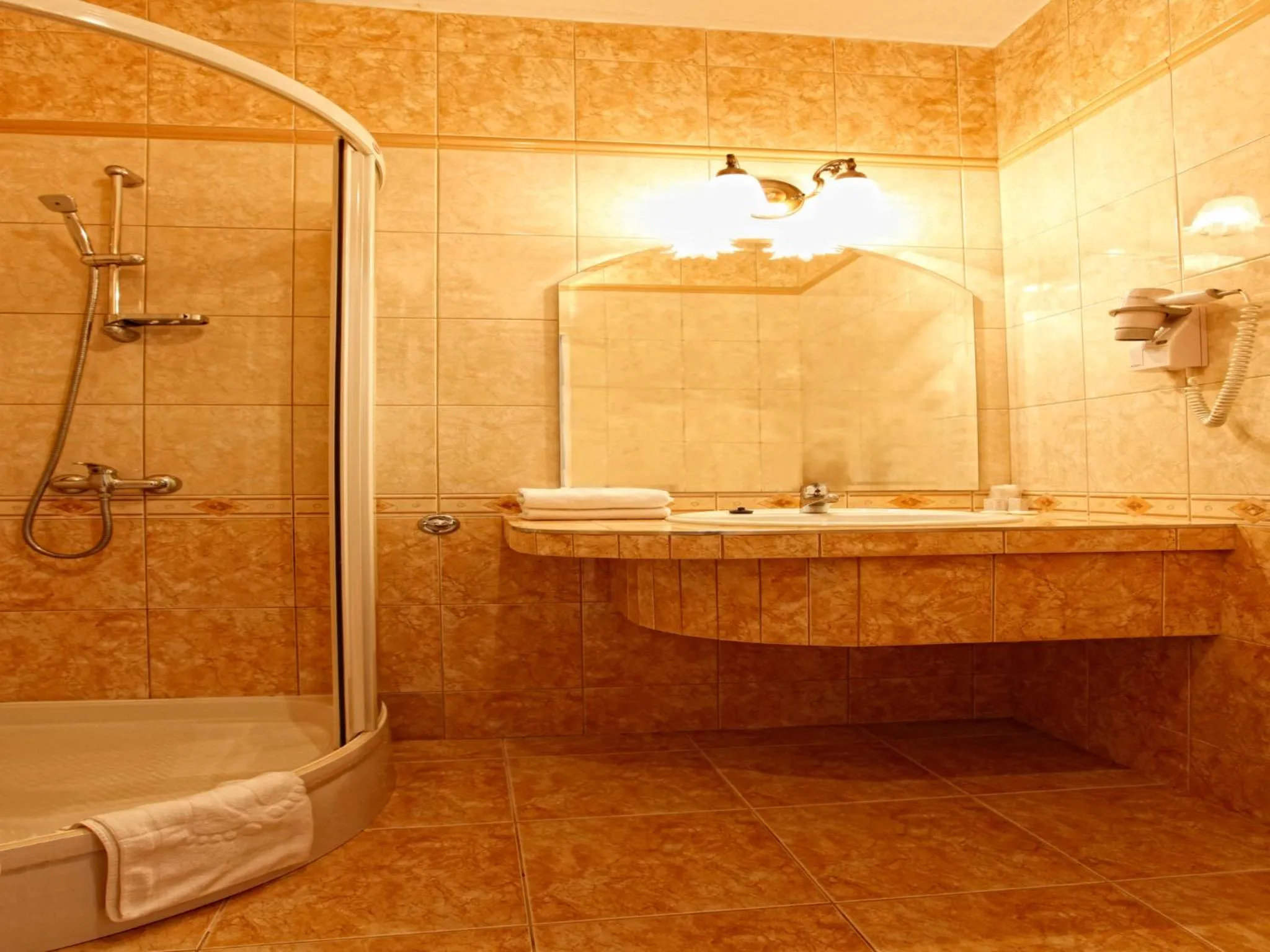 Standard  Double Room in Hotel Europejski