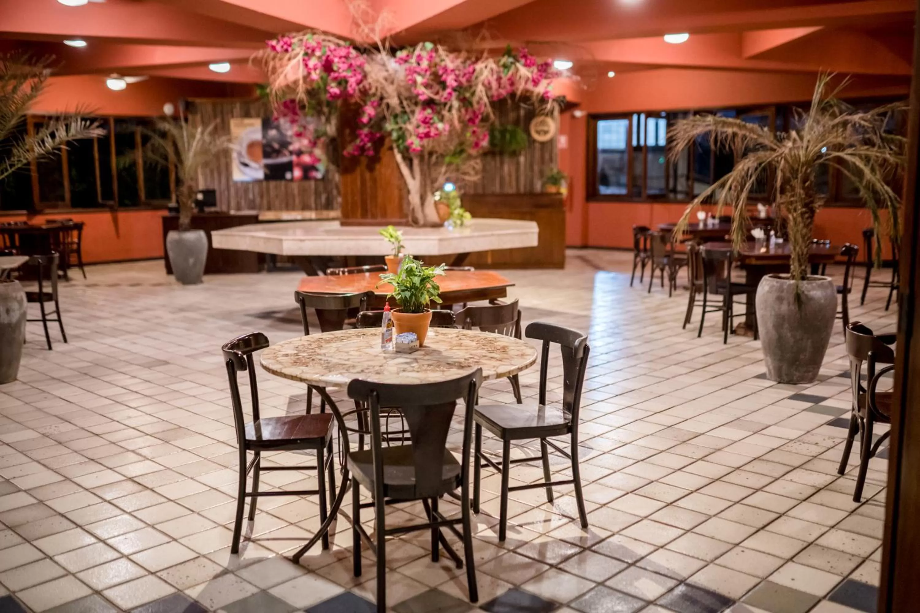 Restaurant/Places to Eat in Hotel Solar