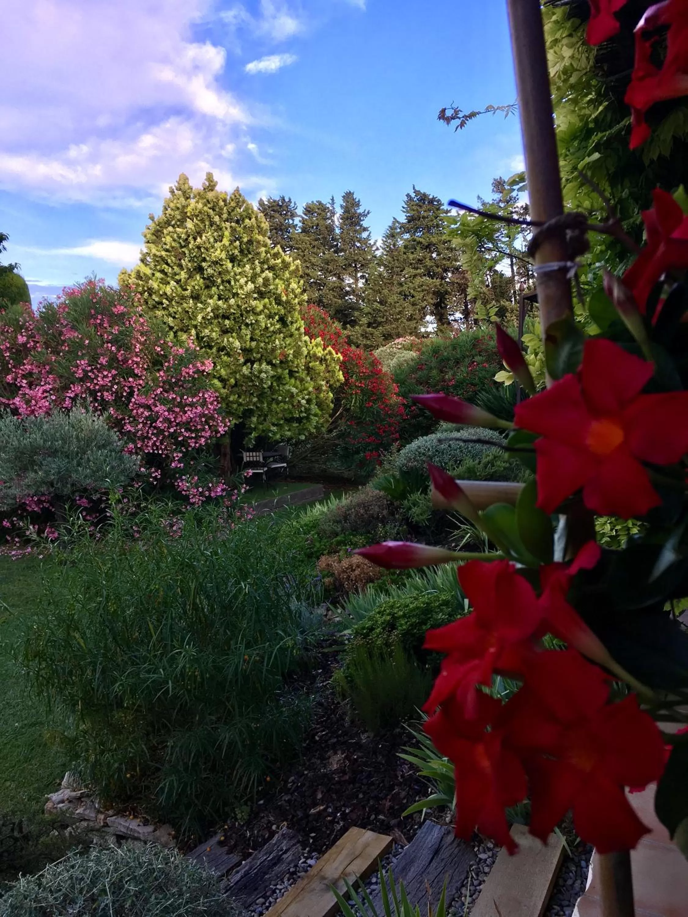 Garden in Mas des Marguerites