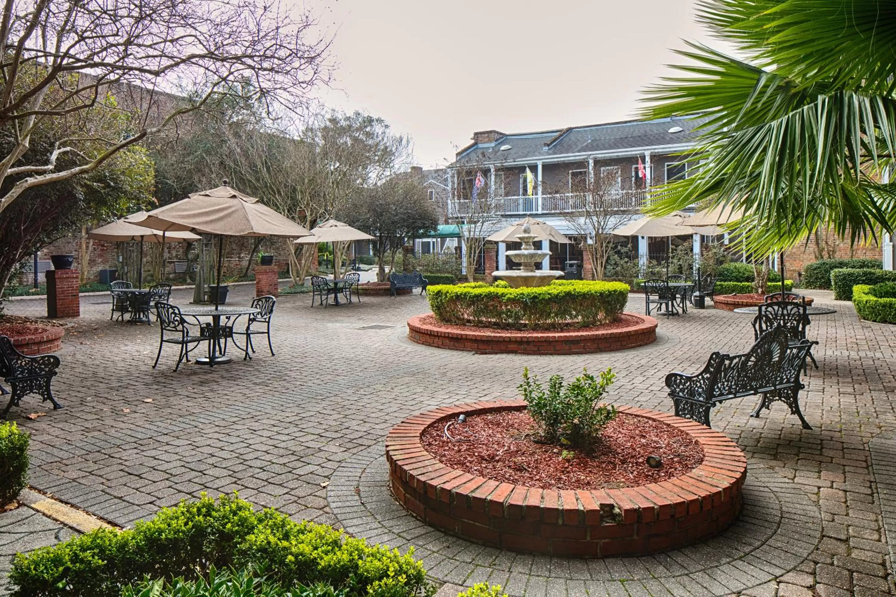 Garden in Maison Saint Charles