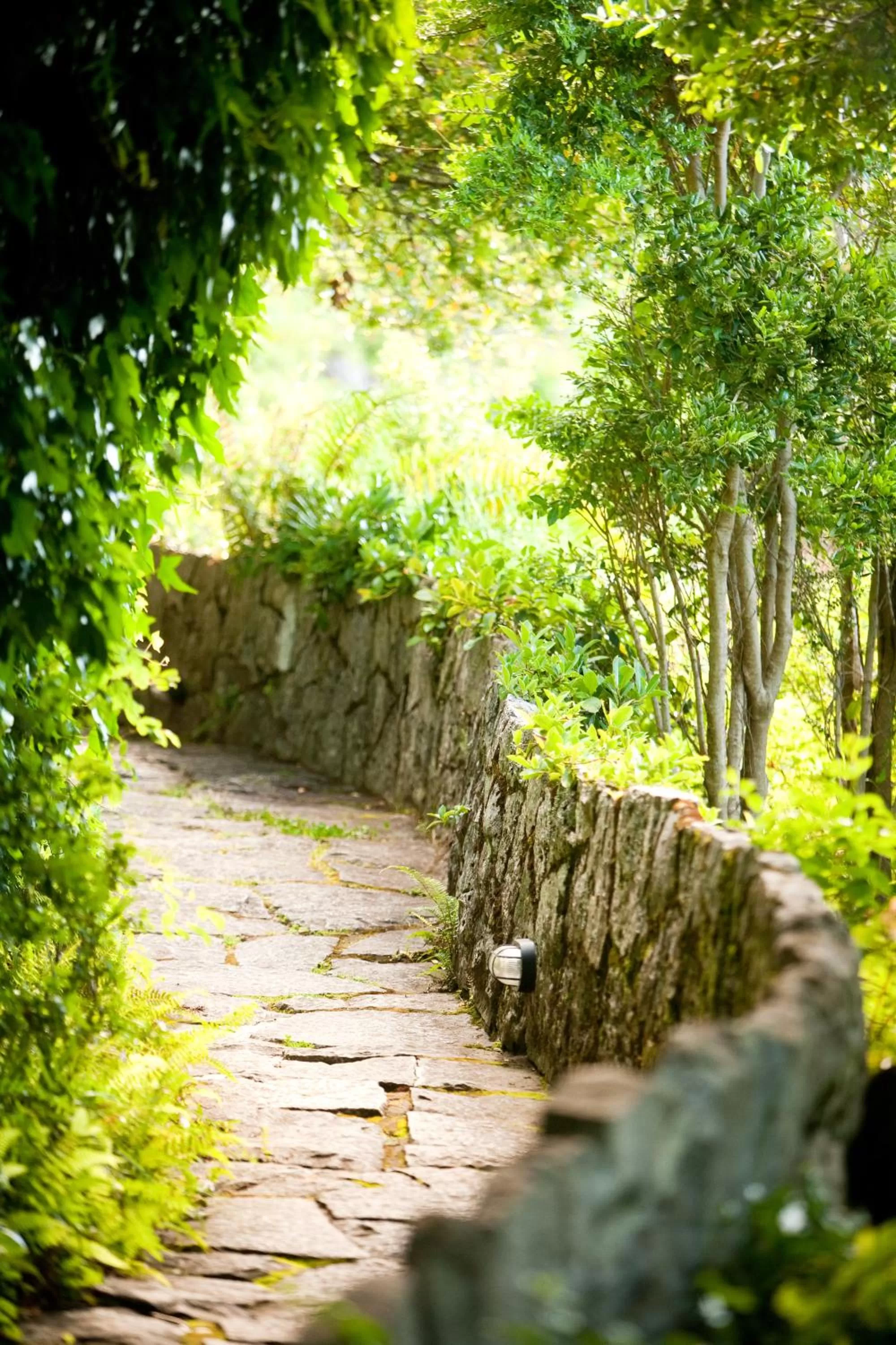 Garden in Hotel Antumalal