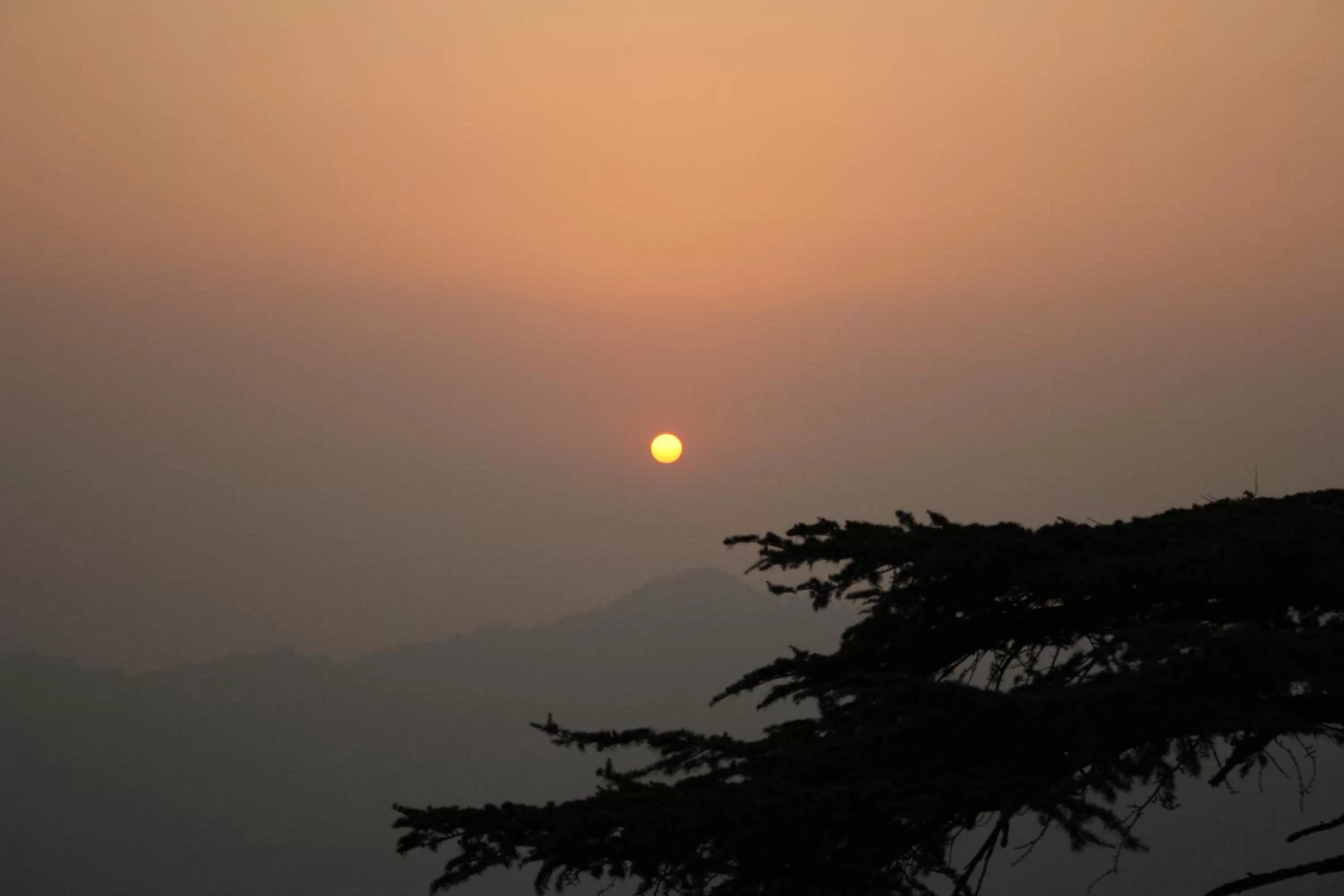 View (from property/room) in Honeymoon Inn Shimla