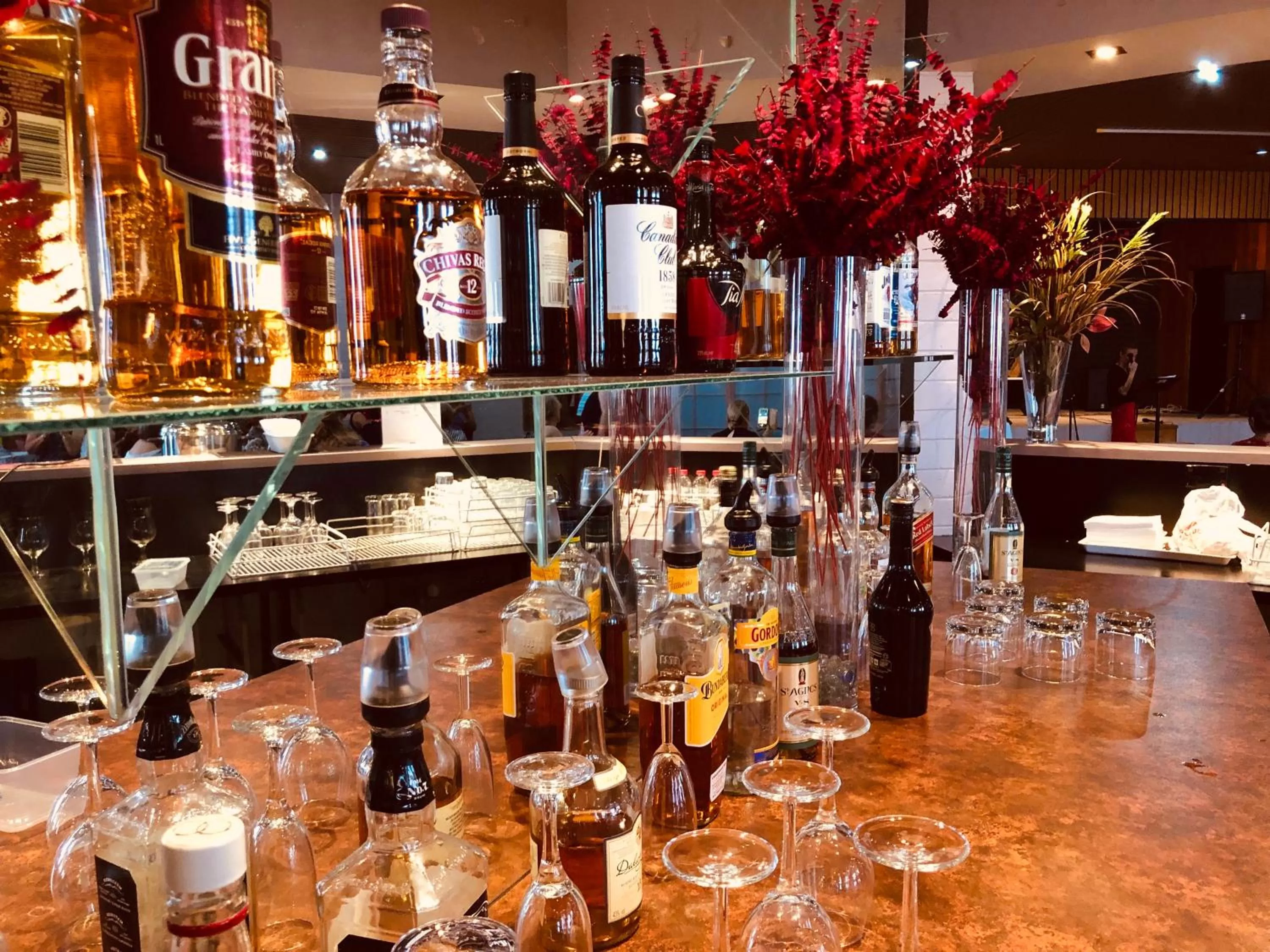 Lounge or bar in Desert Cave Hotel