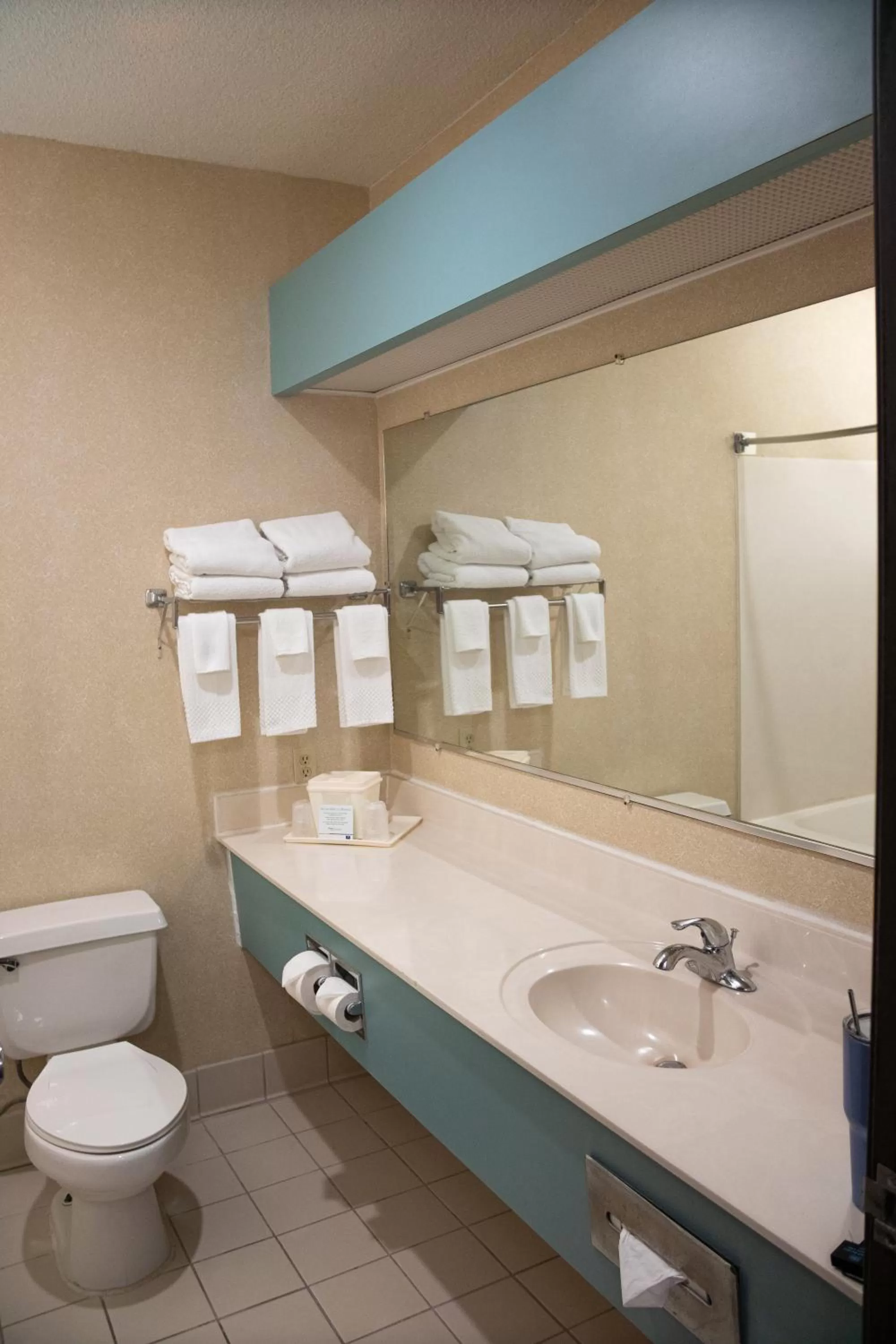 Toilet in Comfort Inn Sioux City South