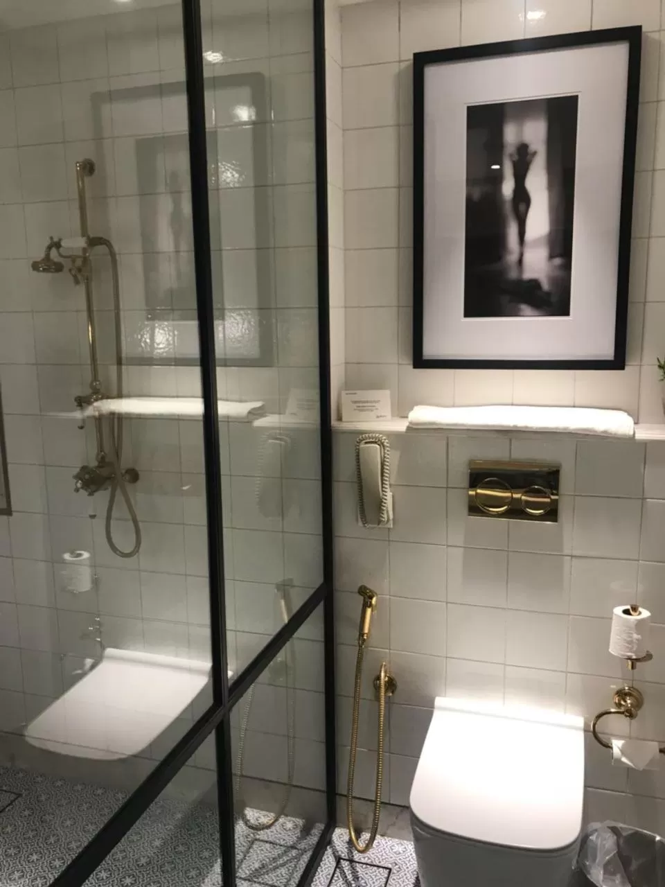 Toilet in Radisson Hotel Shimla