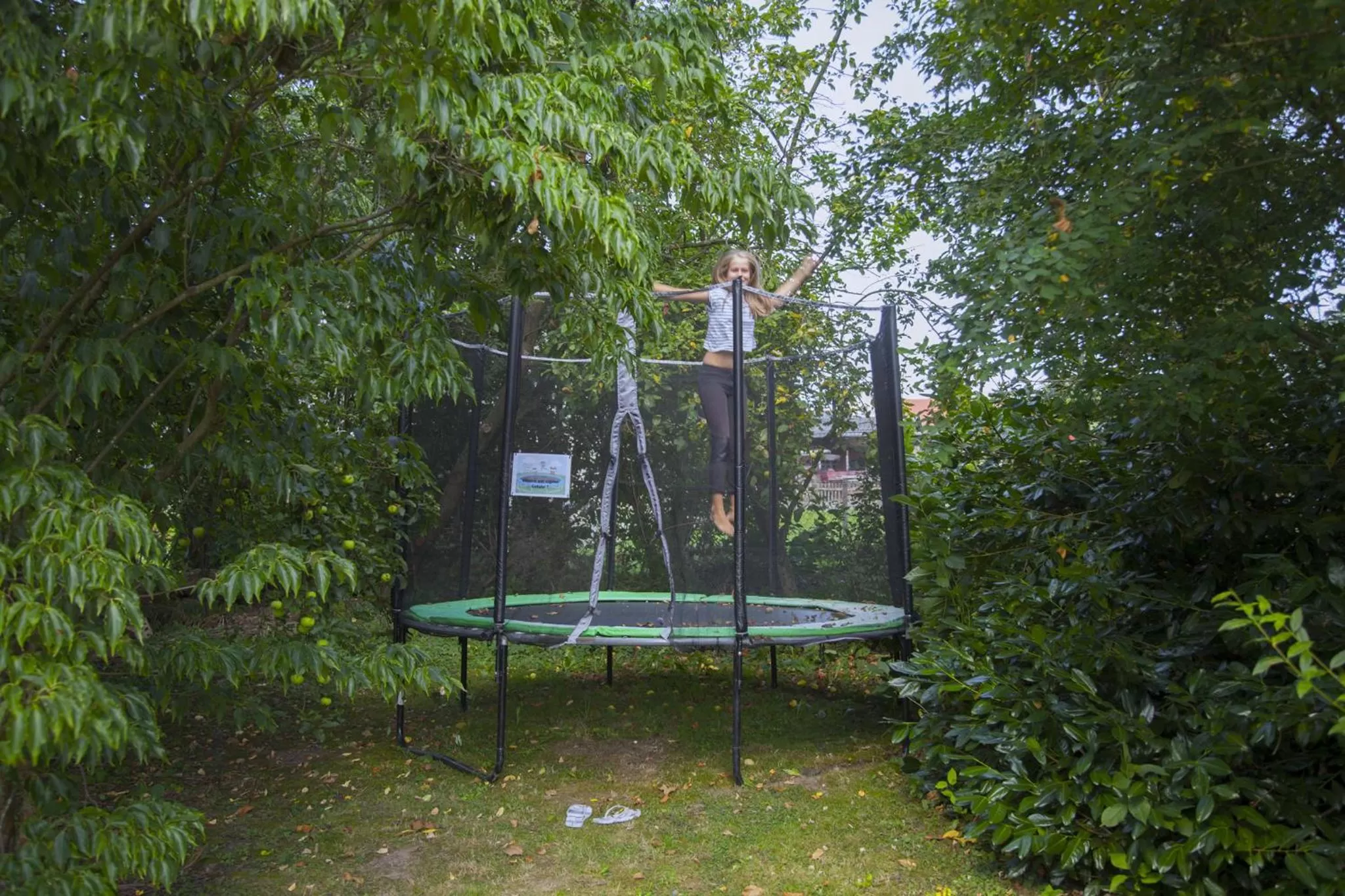 Area and facilities in mein kleinHOTEL