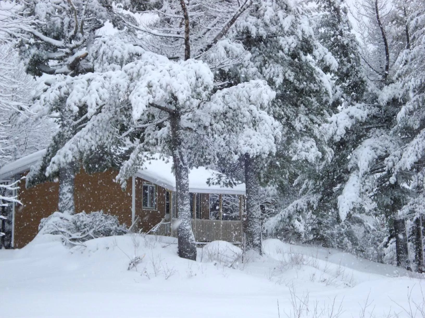 Facade/entrance, Winter in Auberge La Tanière