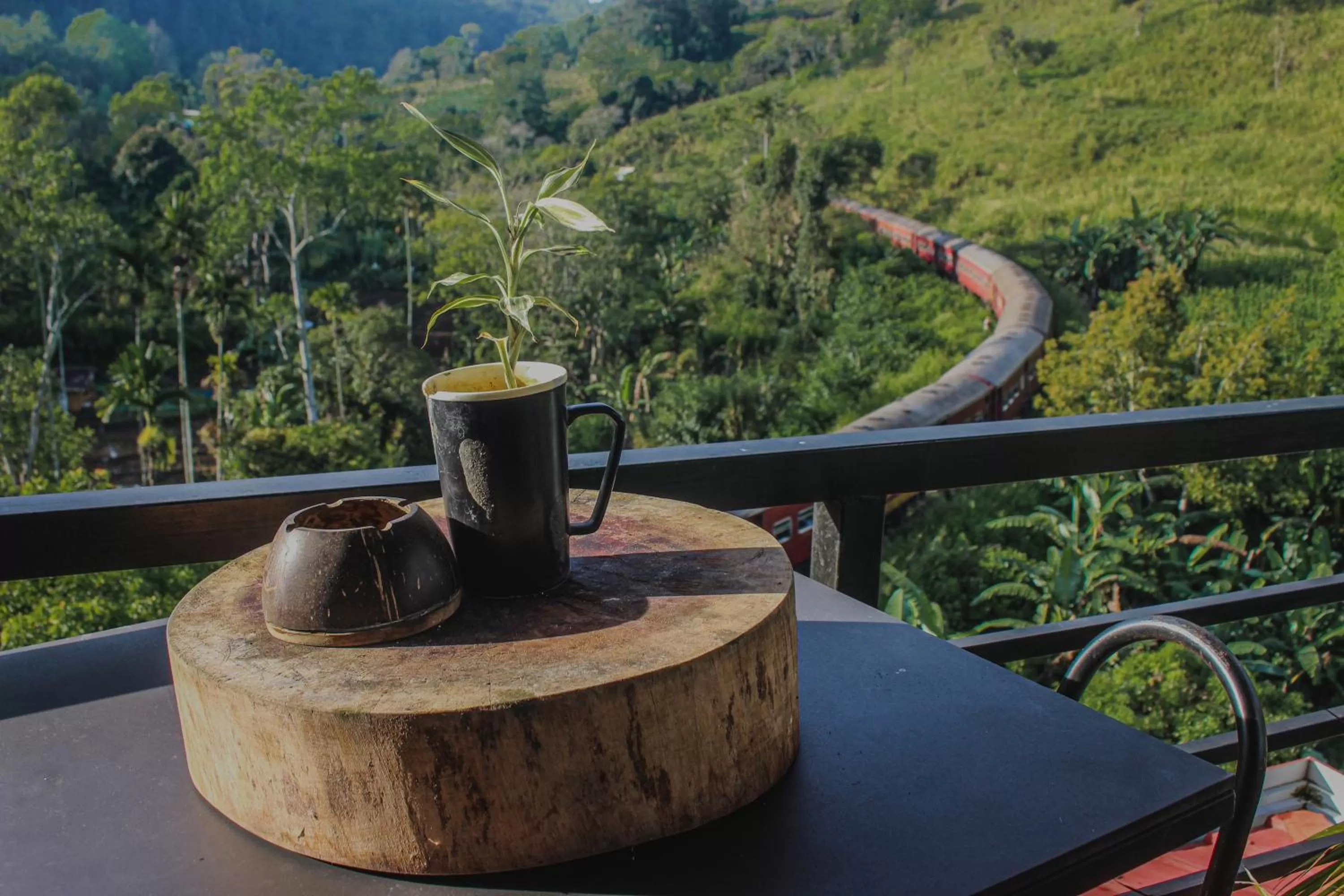 Natural landscape in Hotel Levon Ella