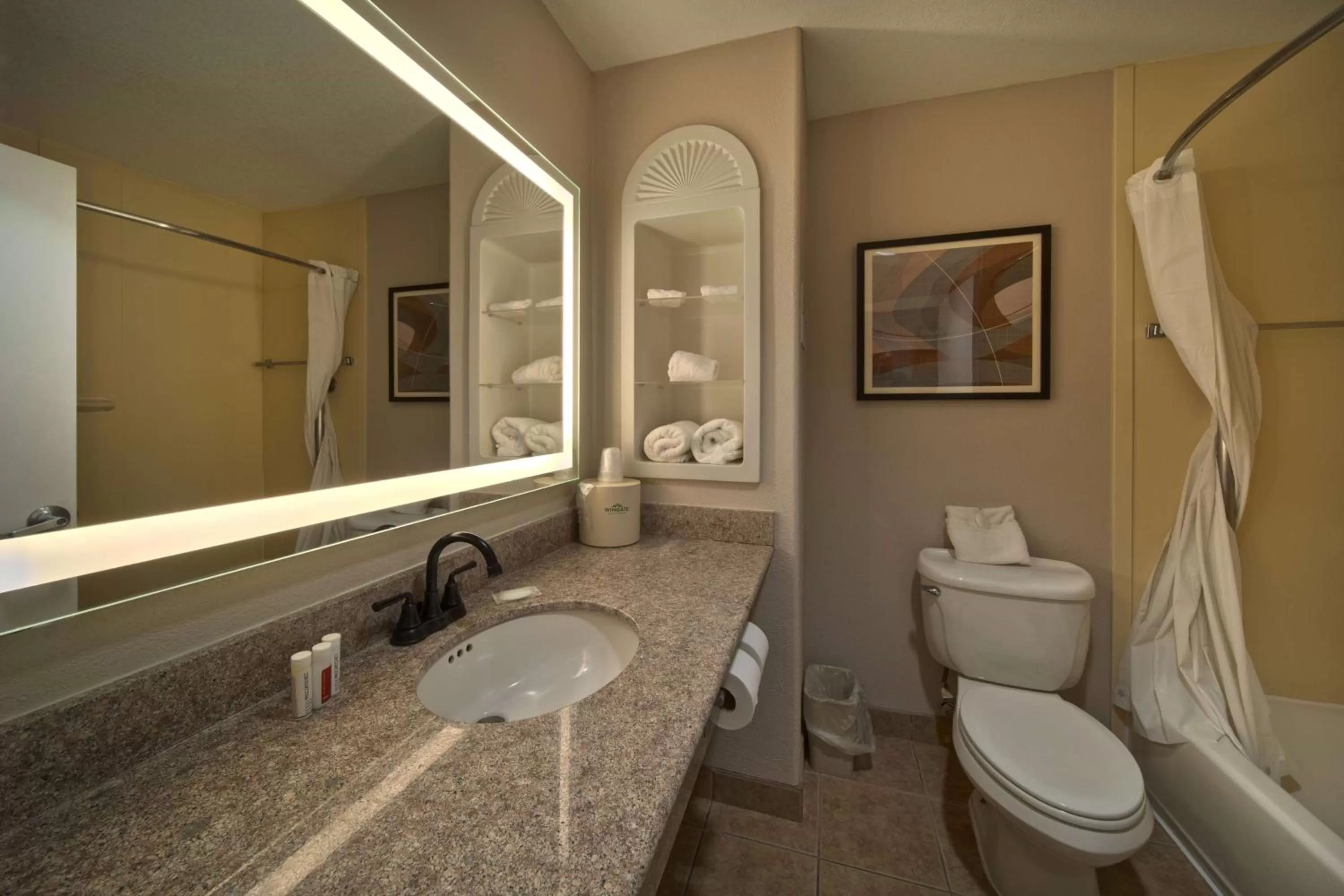 TV and multimedia in Wingate by Wyndham Houston Bush Intercontinental Airport