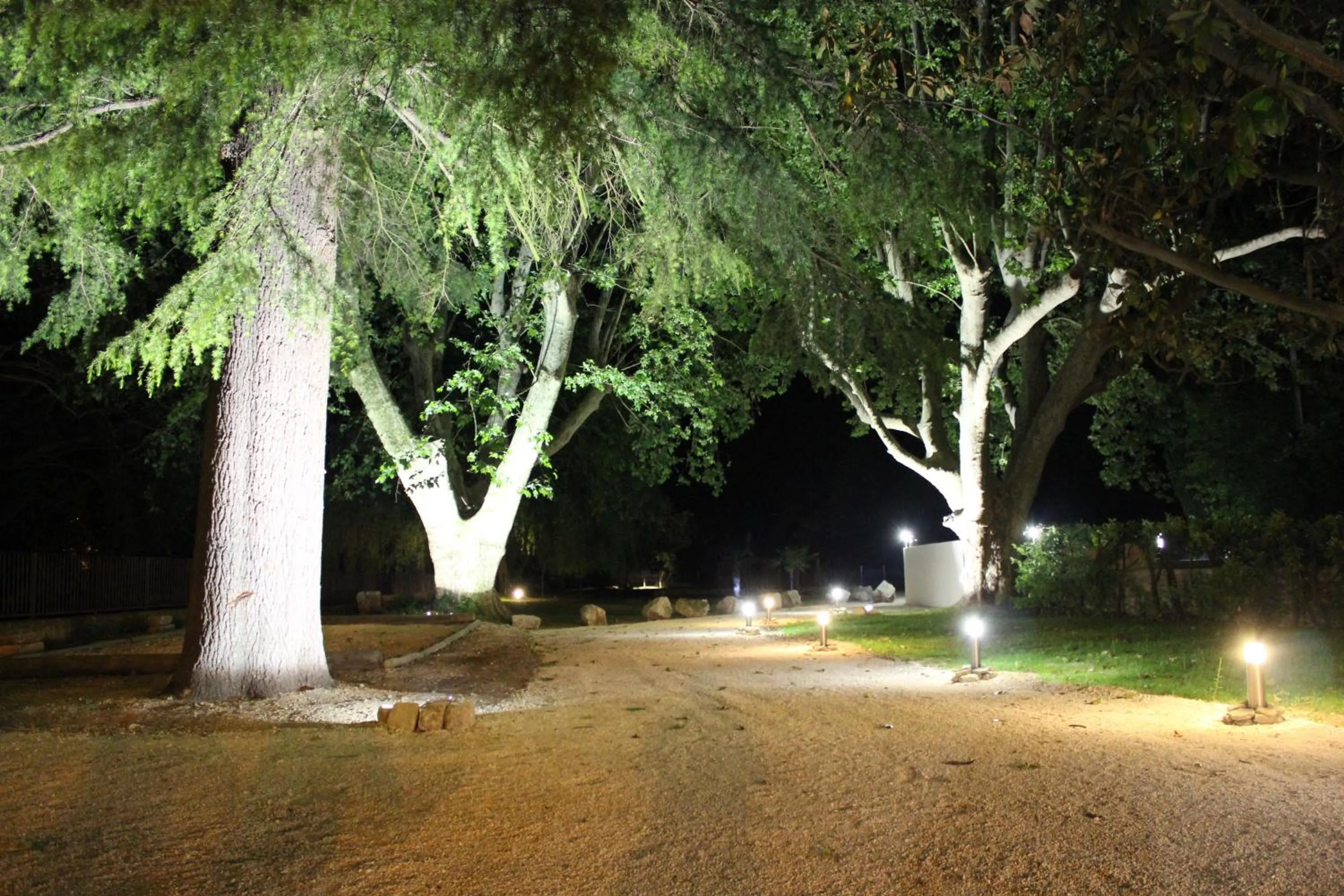 Garden in Logis Hôtel Restaurant du Parc