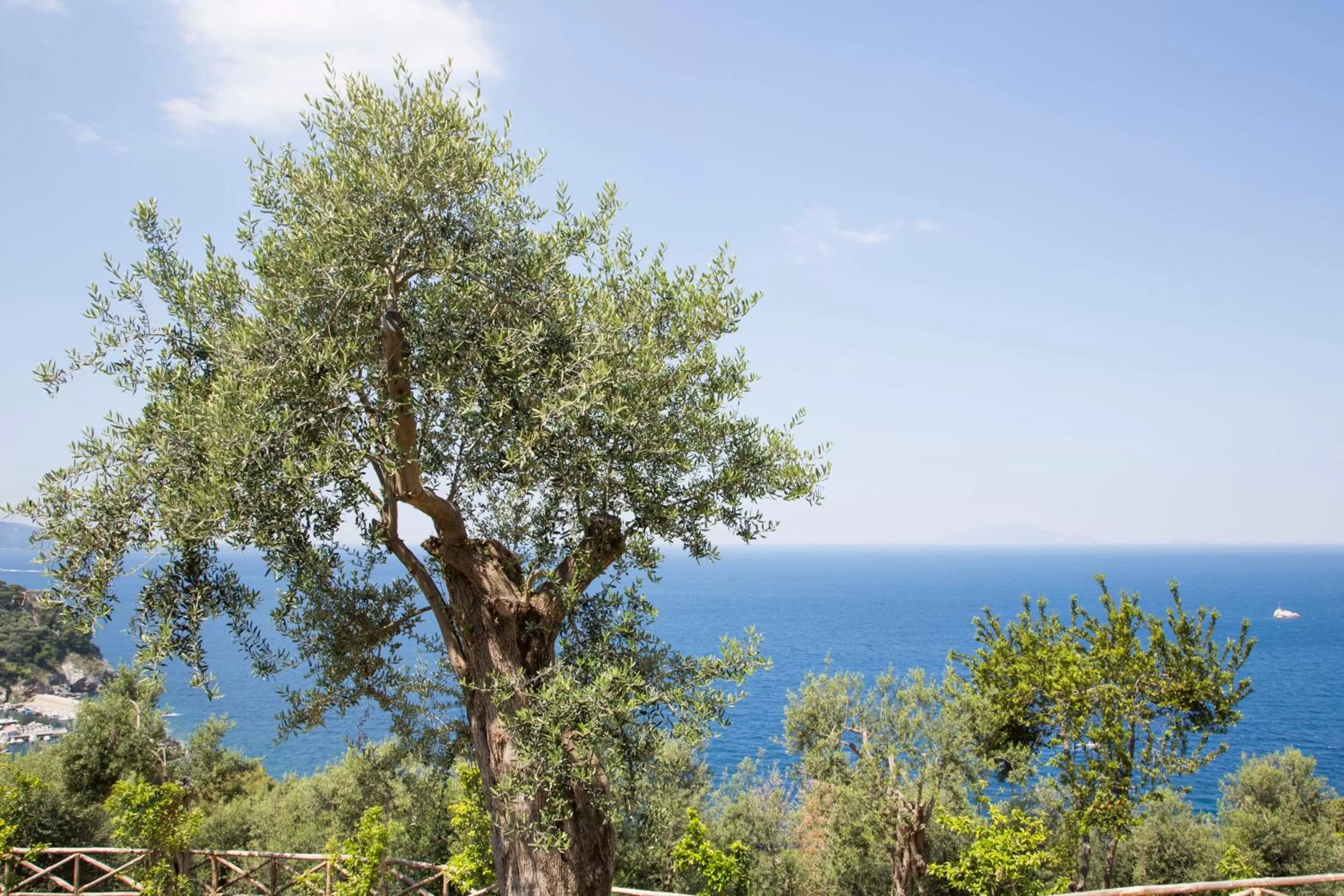 Day in Villa Fiorella Art Hotel