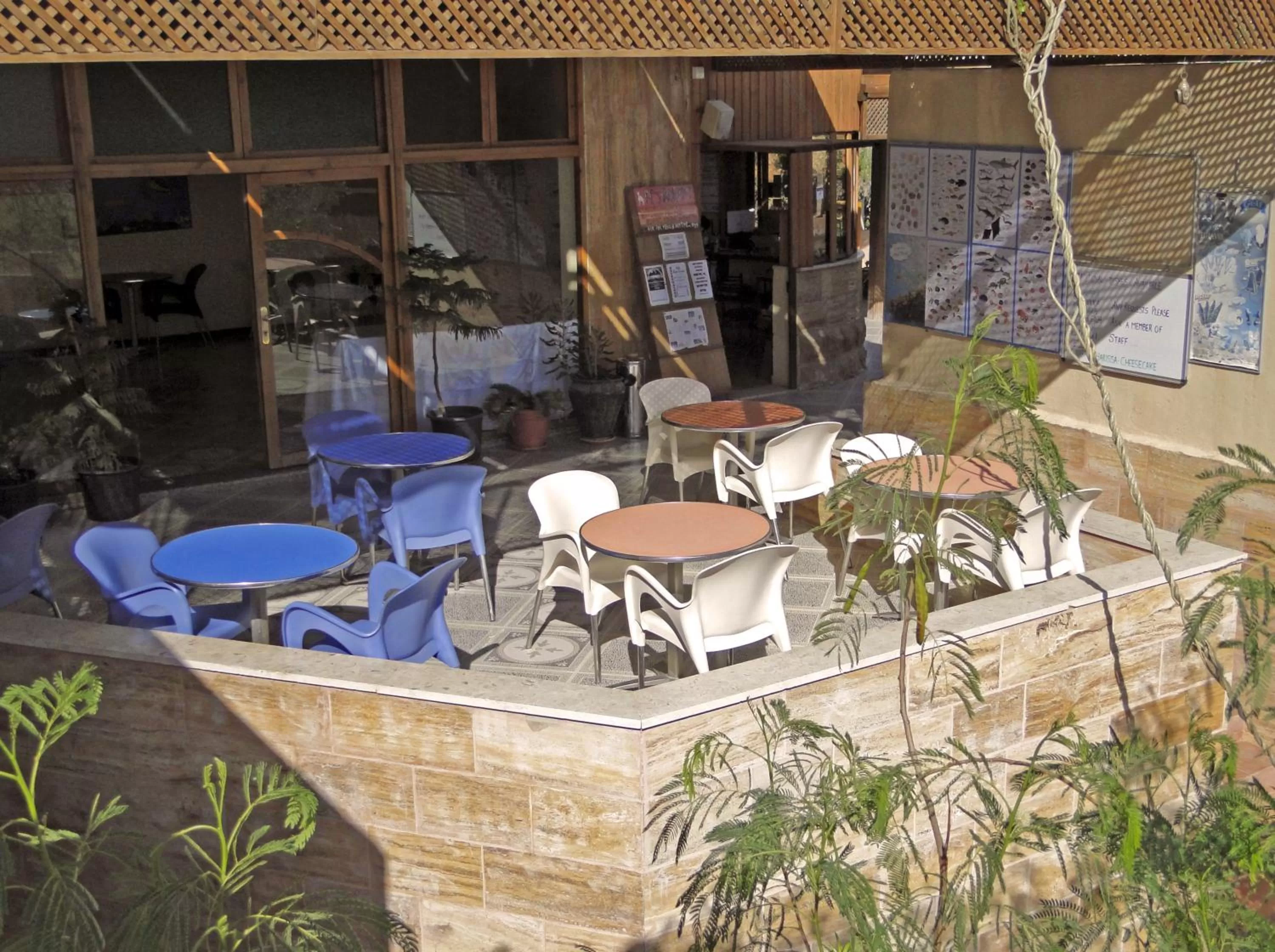 Balcony/Terrace in Arab Divers Dive Center and Bed & Breakfast
