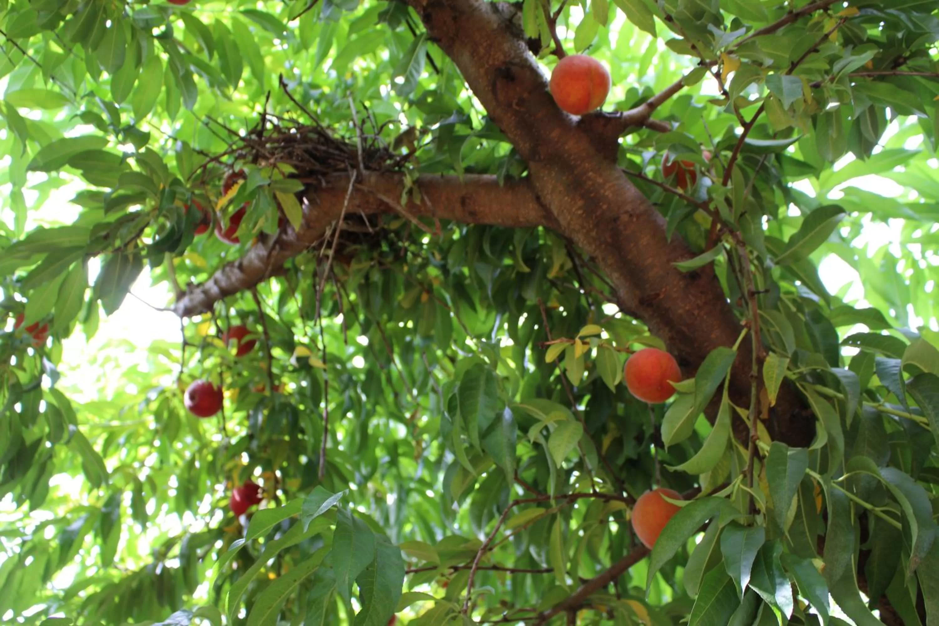 Nearby landmark in Candlewood Suites - McDonough by IHG