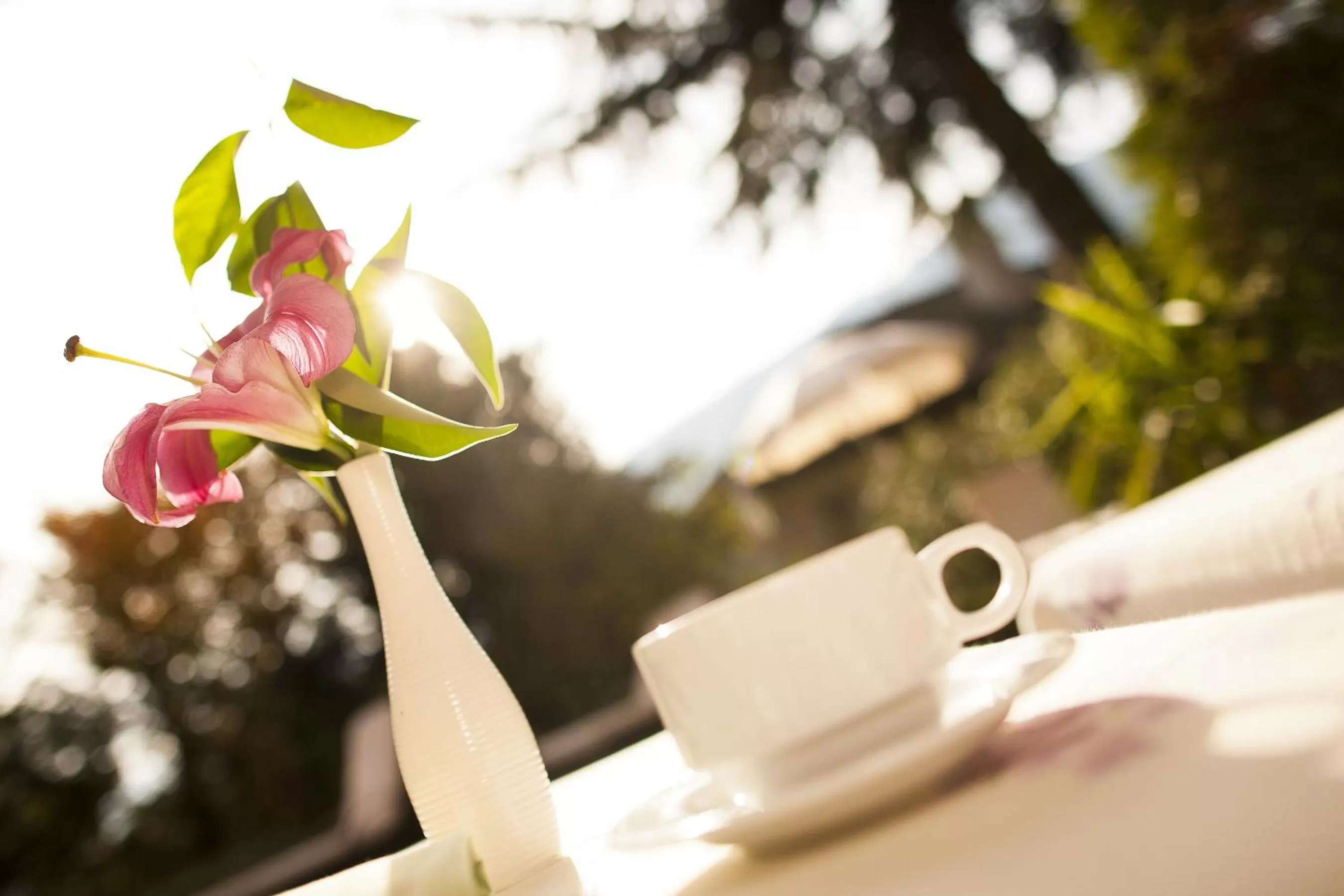 Balcony/Terrace in Hotel Aster