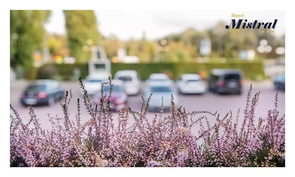 Property building in Hotel Mistral