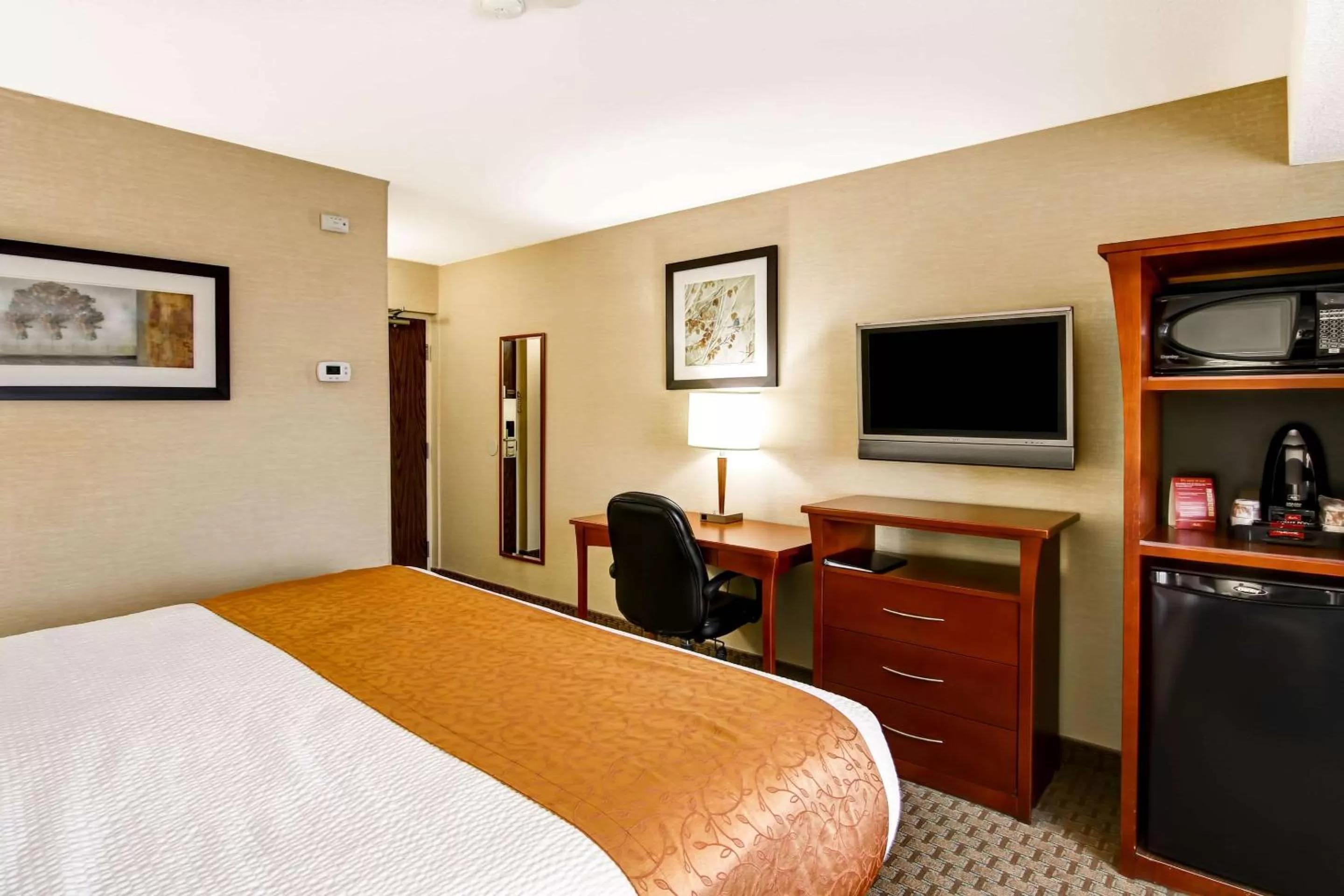 Photo of the whole room, Bed in Quality Inn