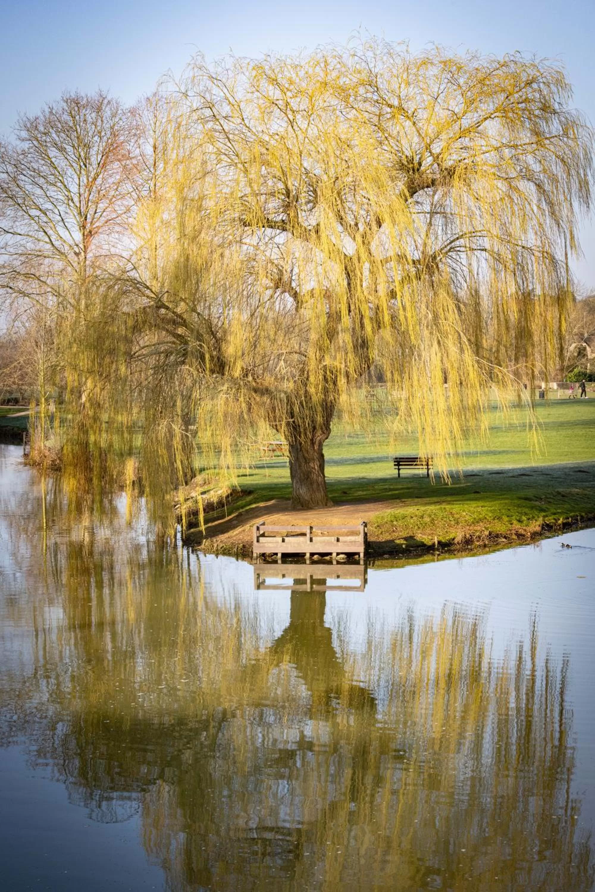 Other in The Bull And Swan