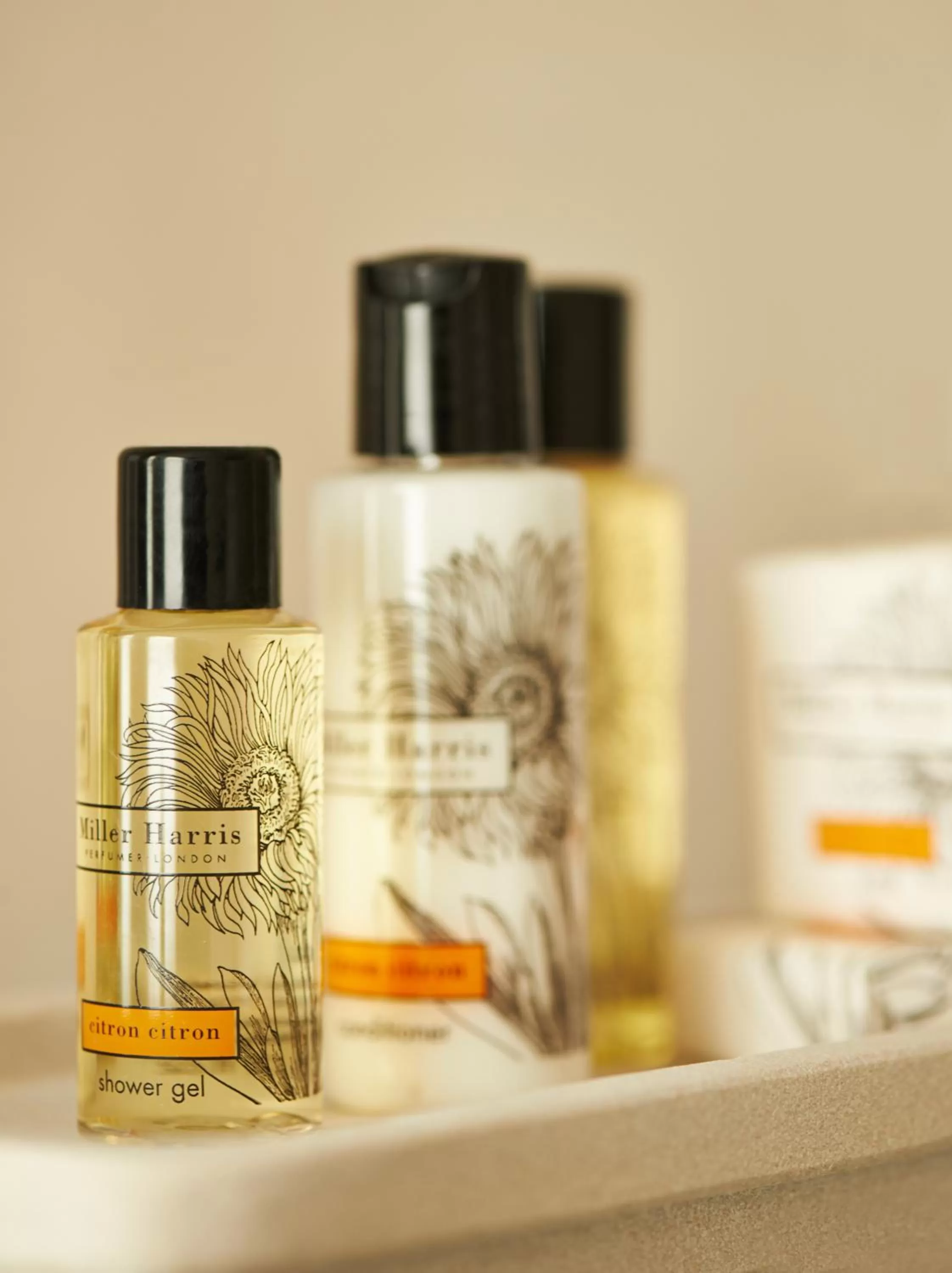 Bathroom in The Bull and The Hide