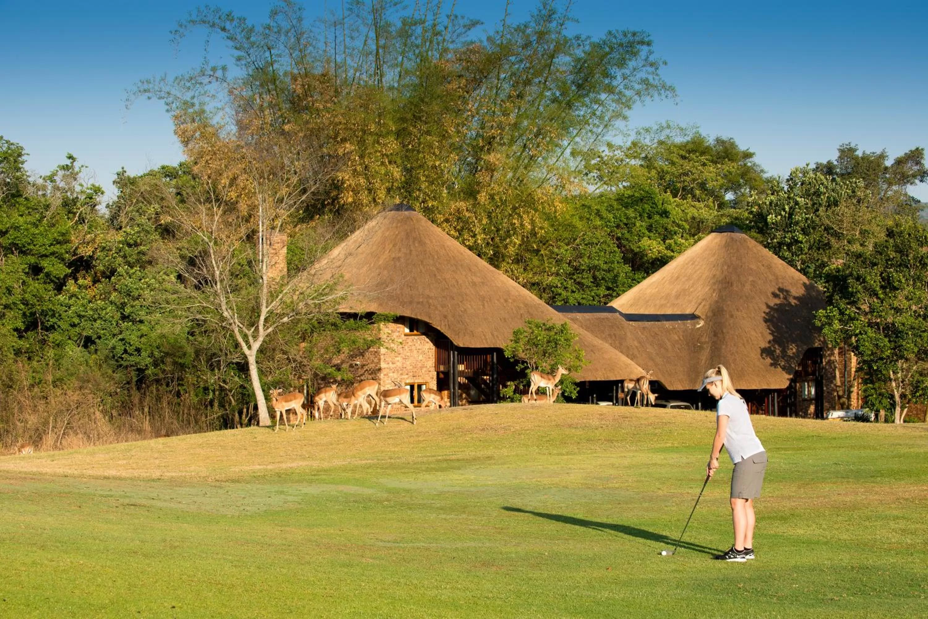Golfcourse in Kruger Park Lodge