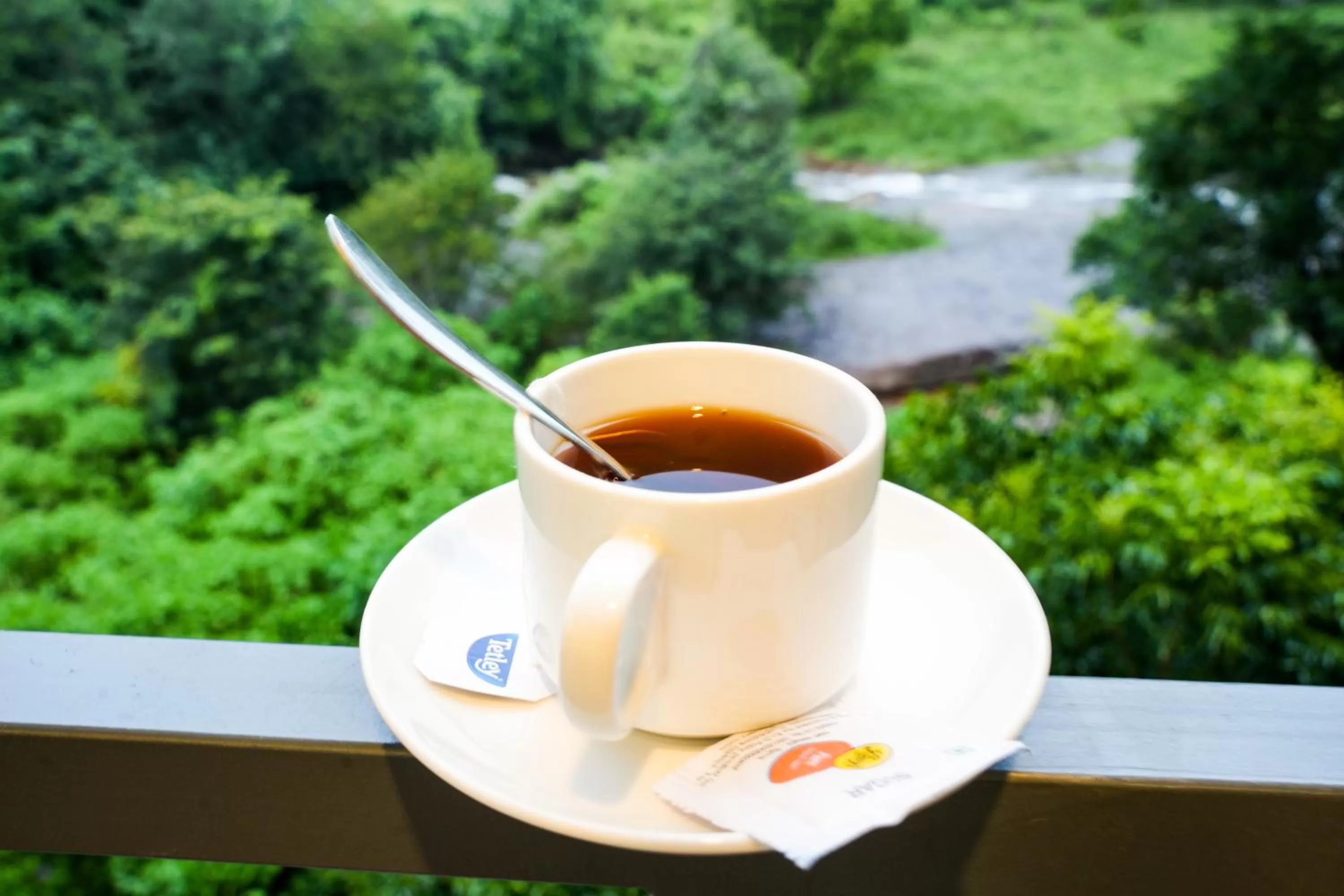 River view in Misty Range Resorts