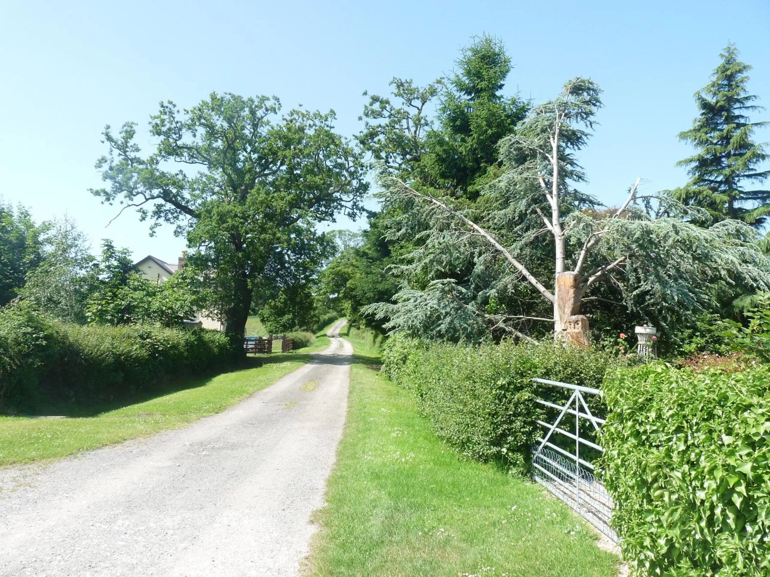 Day in Oakenholt Farm Bed and Breakfast