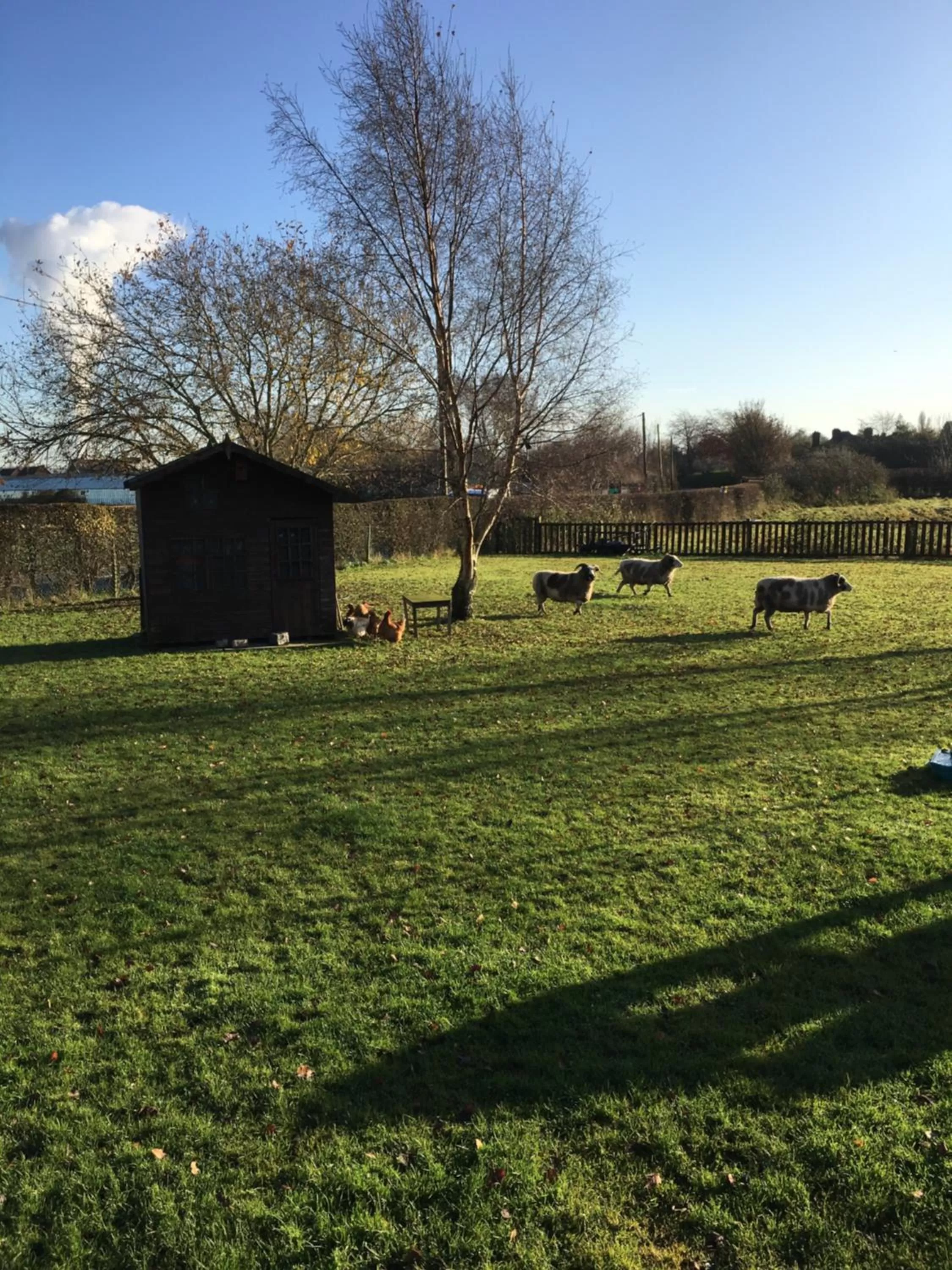 The Barn Bed and Breakfast