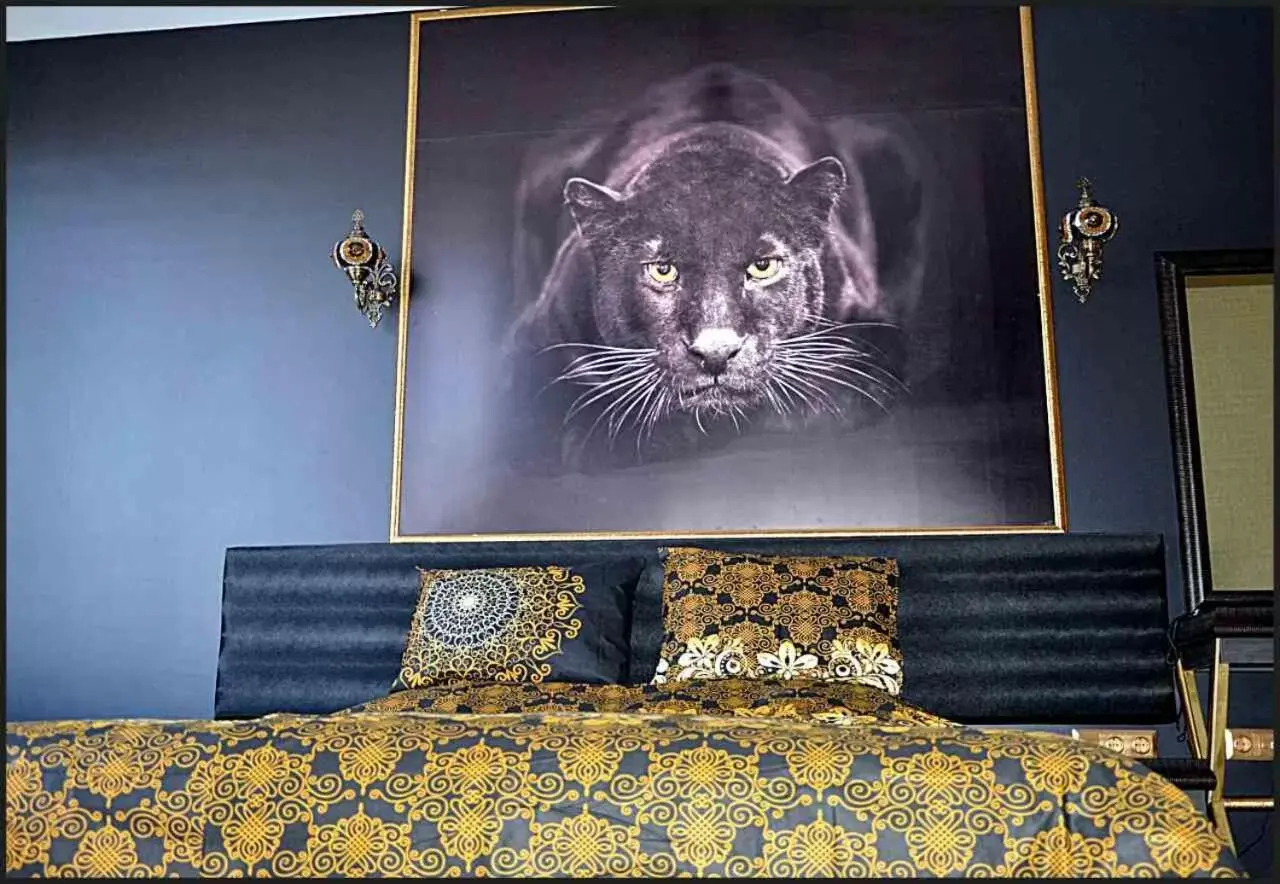 Double Room in Hotel Africa Double Room in Hotel Africa