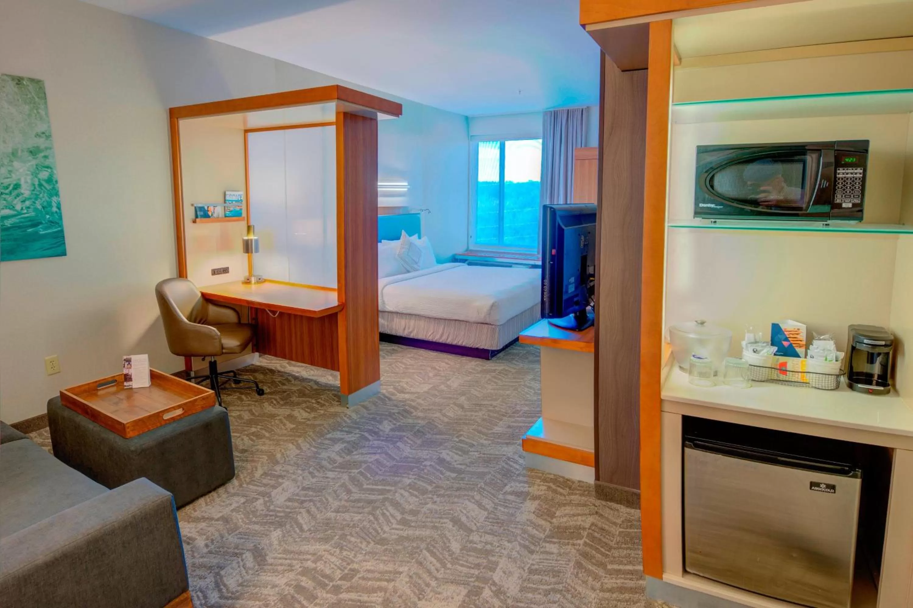 King Studio with Sofa Bed and Adapted Tub - Mobility Accessible in SpringHill Suites by Marriott Macon