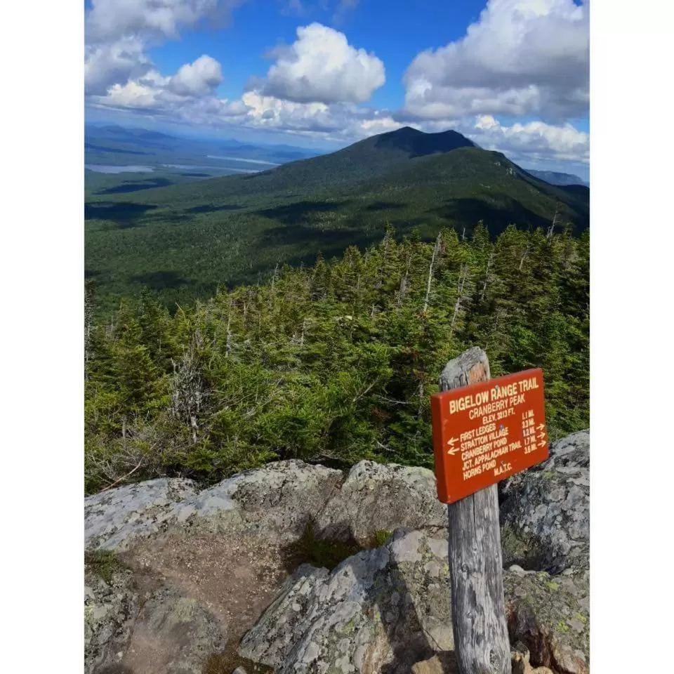 Activities in Spillover Motel and Inn