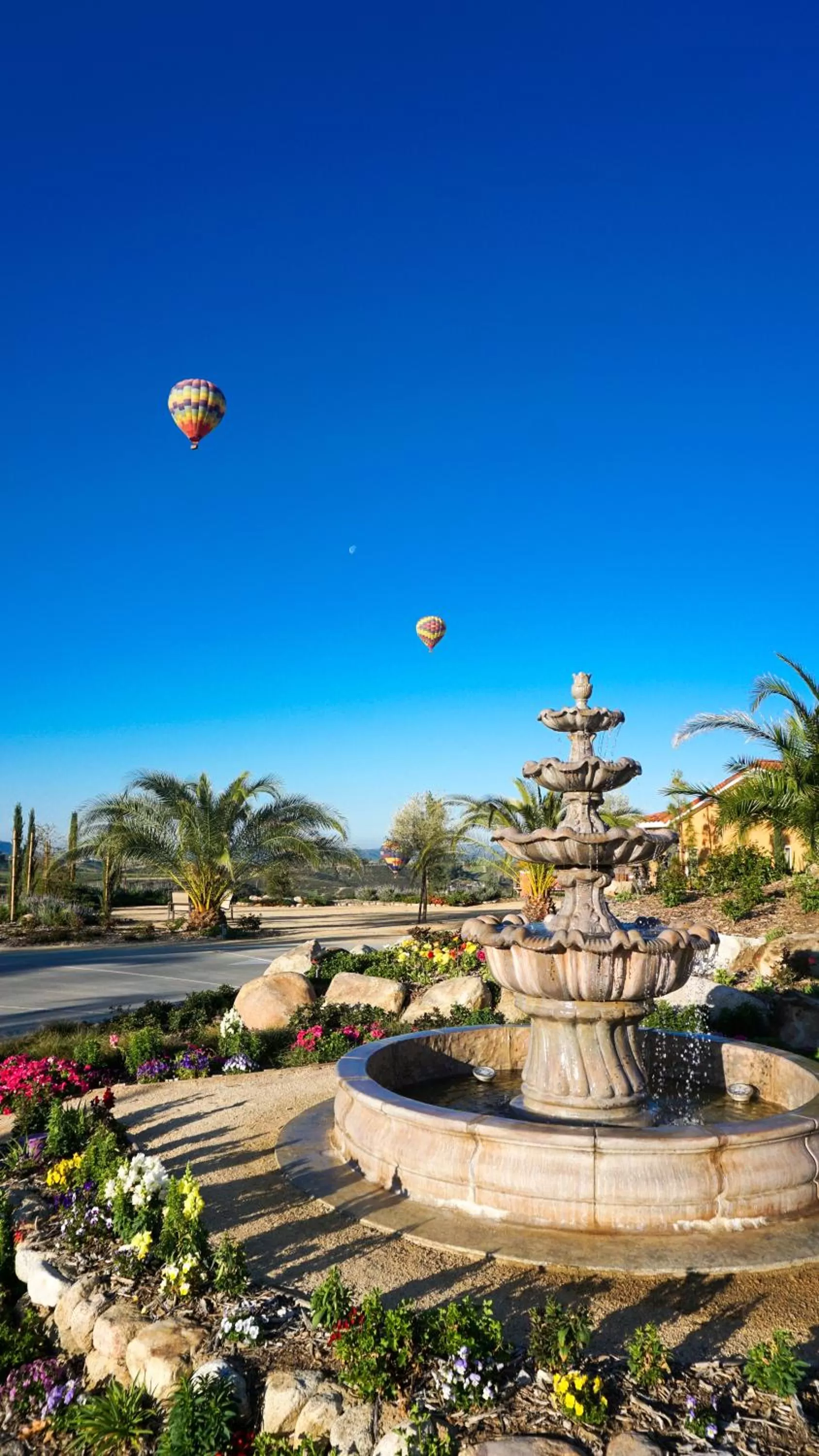 Activities in Carter Estate Winery and Resort