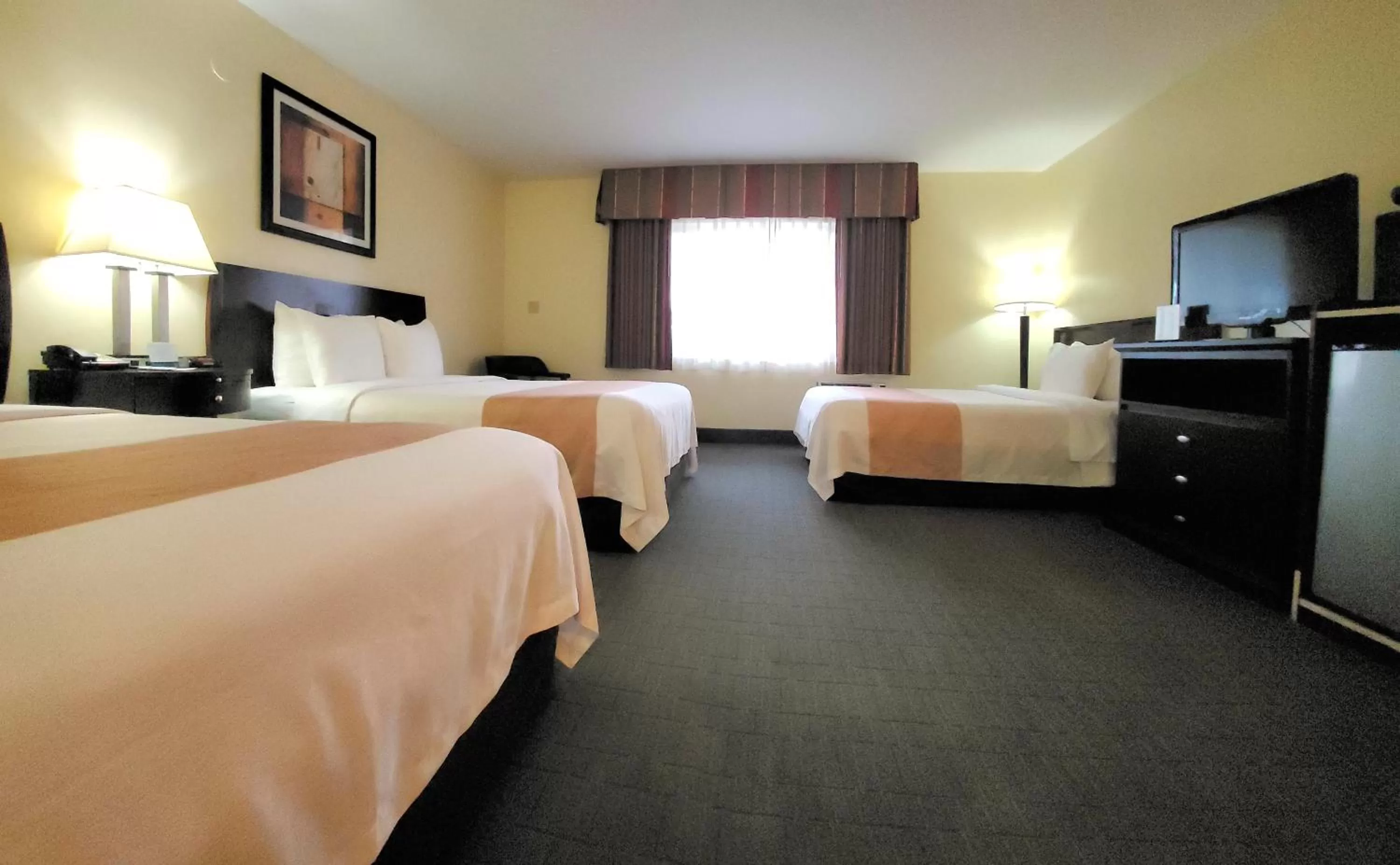 TV and multimedia, Bed in Quality Inn & Suites Anaheim at the Park