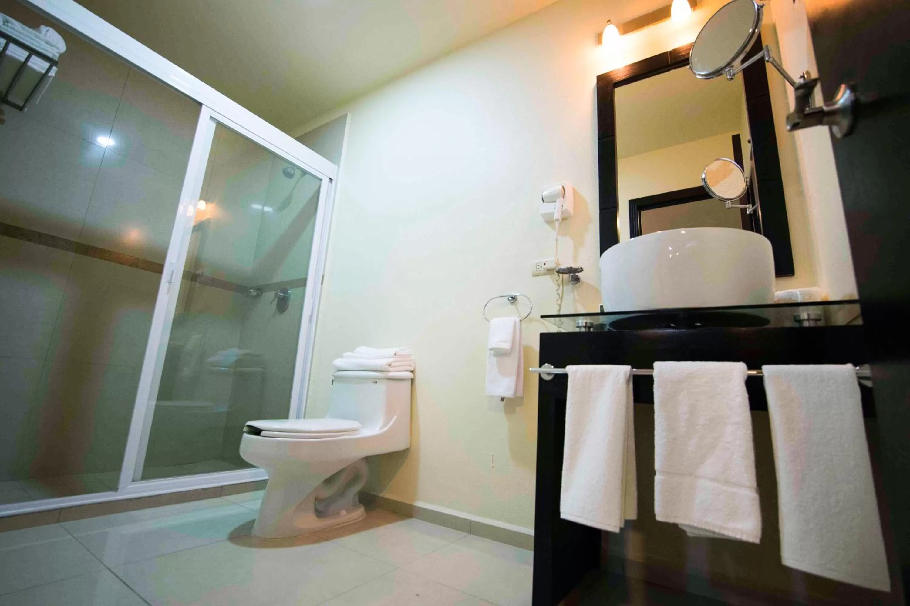 Shower in Wyndham Garden Aguascalientes Hotel & Casino