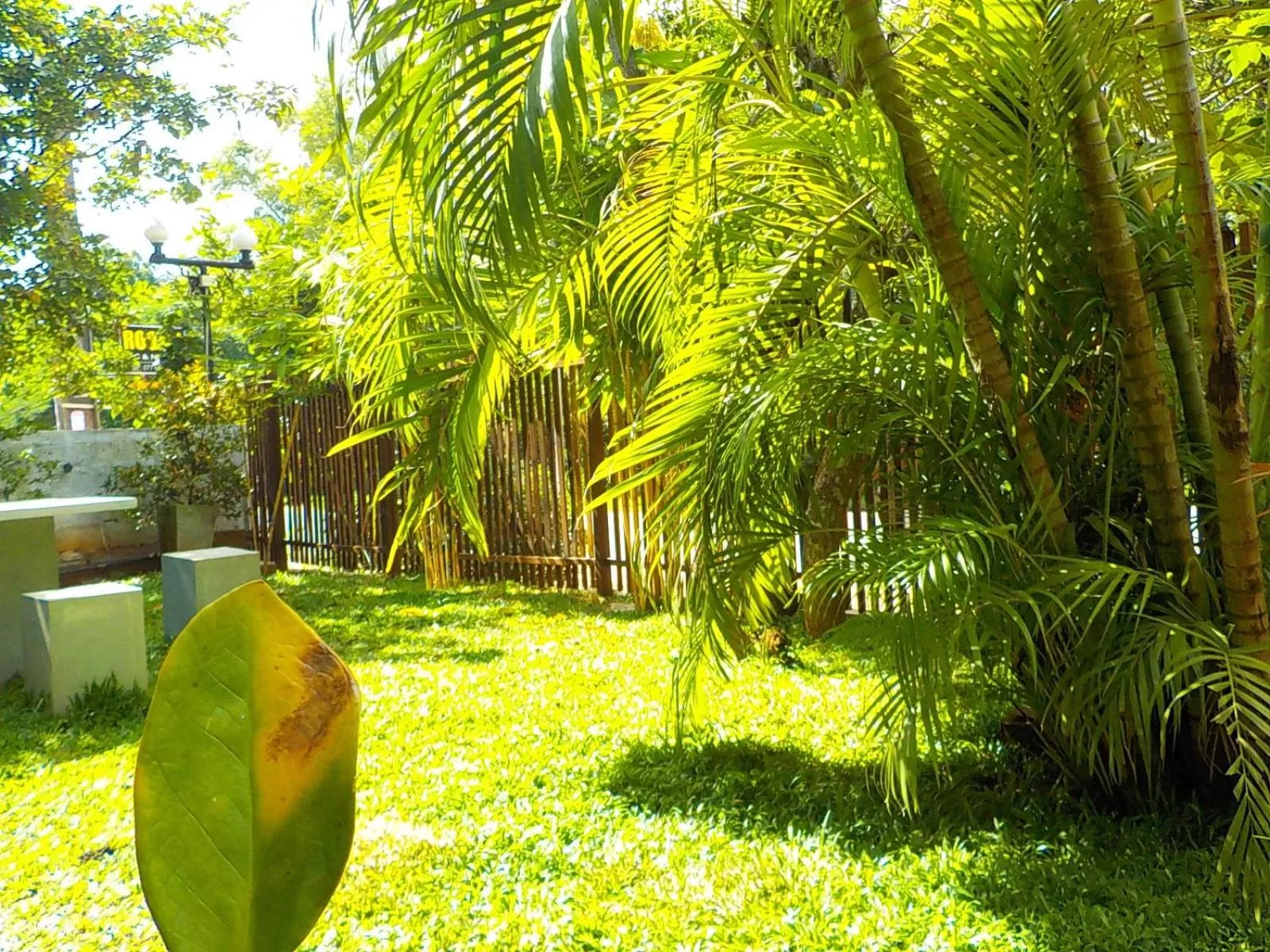 Garden in Liyana Holiday resort