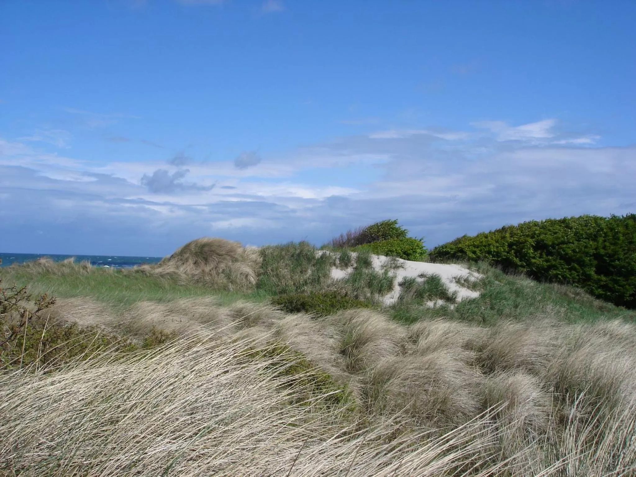 Beach in Hotel Haus Linden