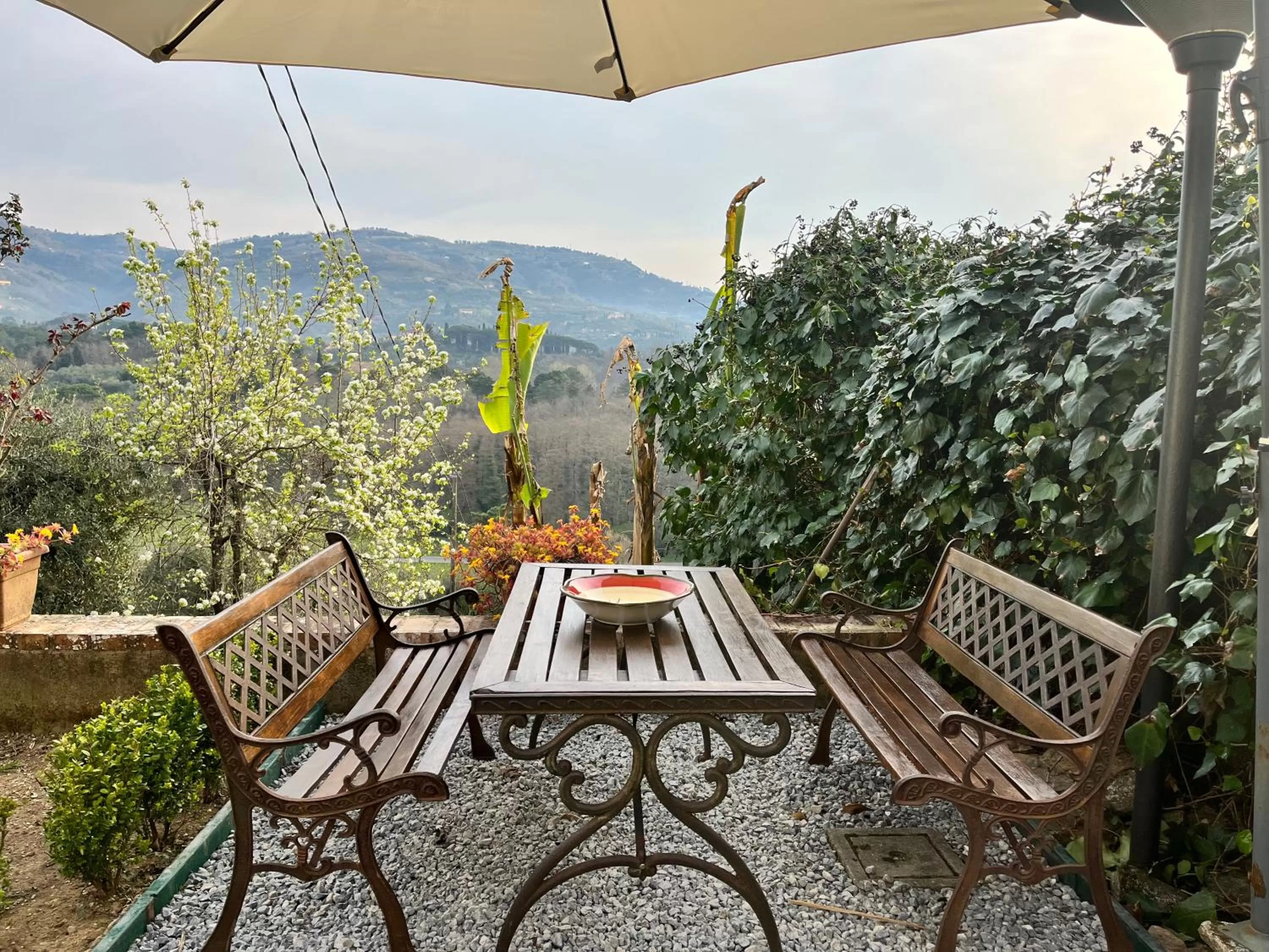 Garden in Casa del Pino