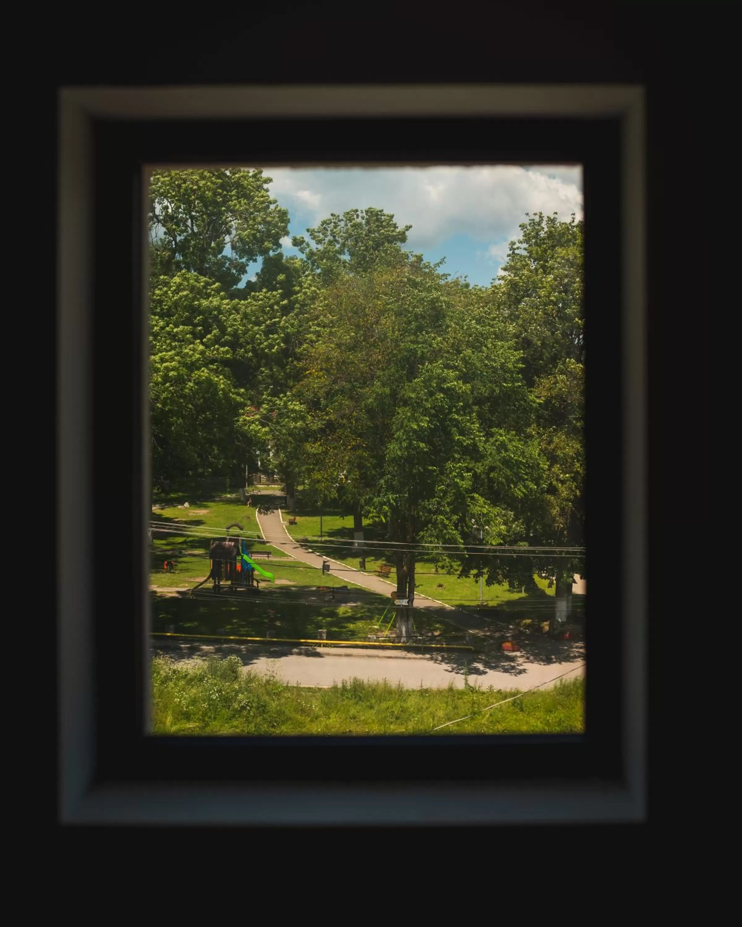 Garden view in Suru Hotel & Restaurant