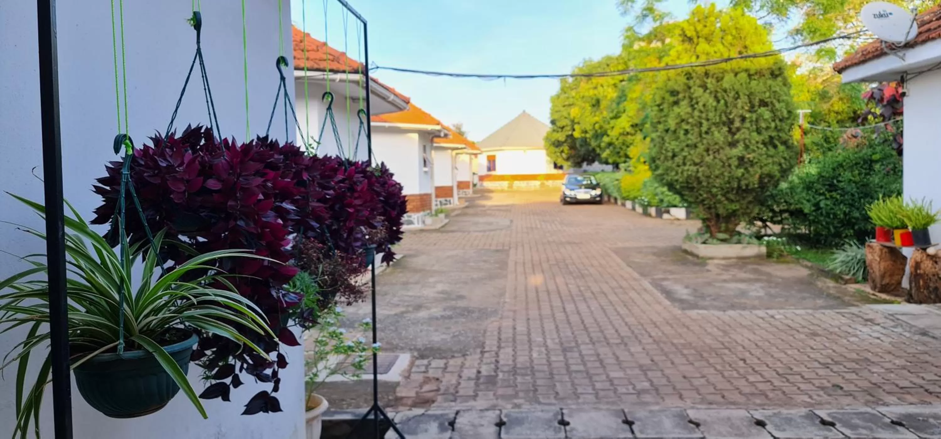 Property building in Northern Pearl