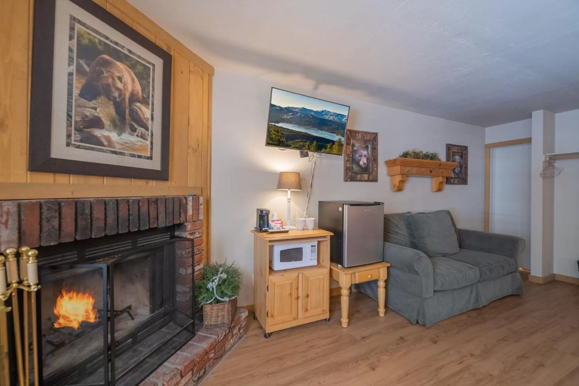 TV and multimedia in Black Forest Lodge