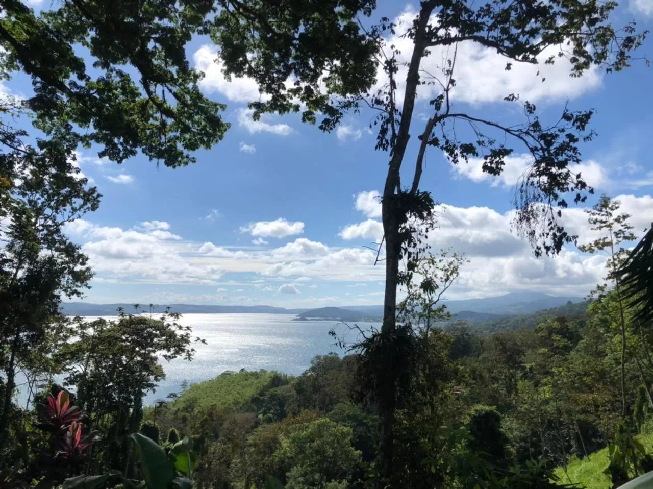 Natural landscape in La Ceiba Tree Lodge