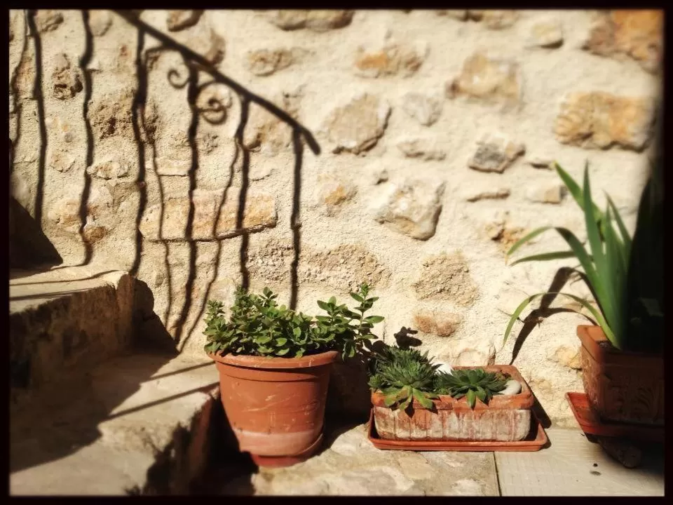 Le Pagliare Del Gran Sasso