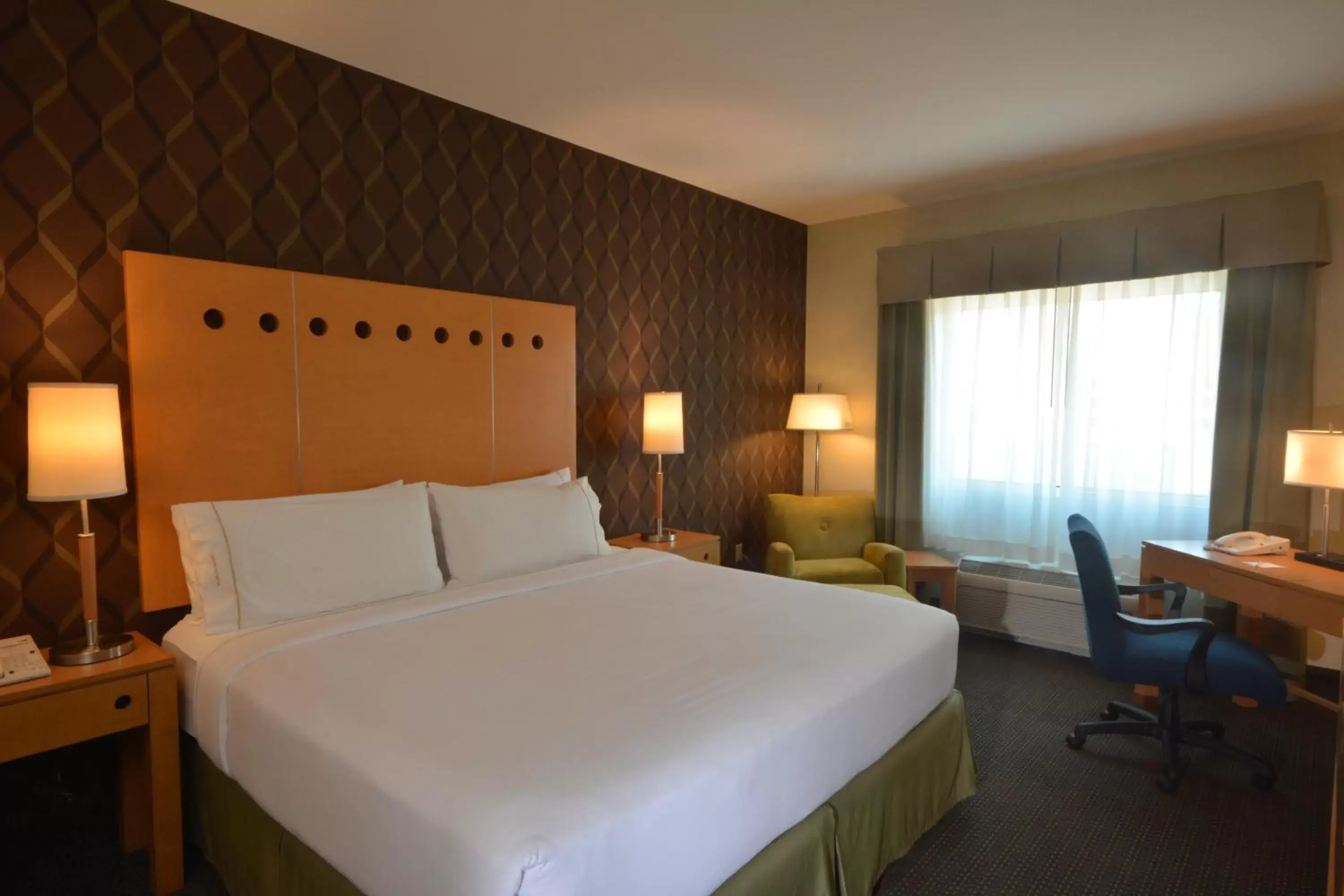 Specialty Room in Holiday Inn Express & Suites Monterrey Aeropuerto by IHG Specialty Room in Holiday Inn Express & Suites Monterrey Aeropuerto by IHG
