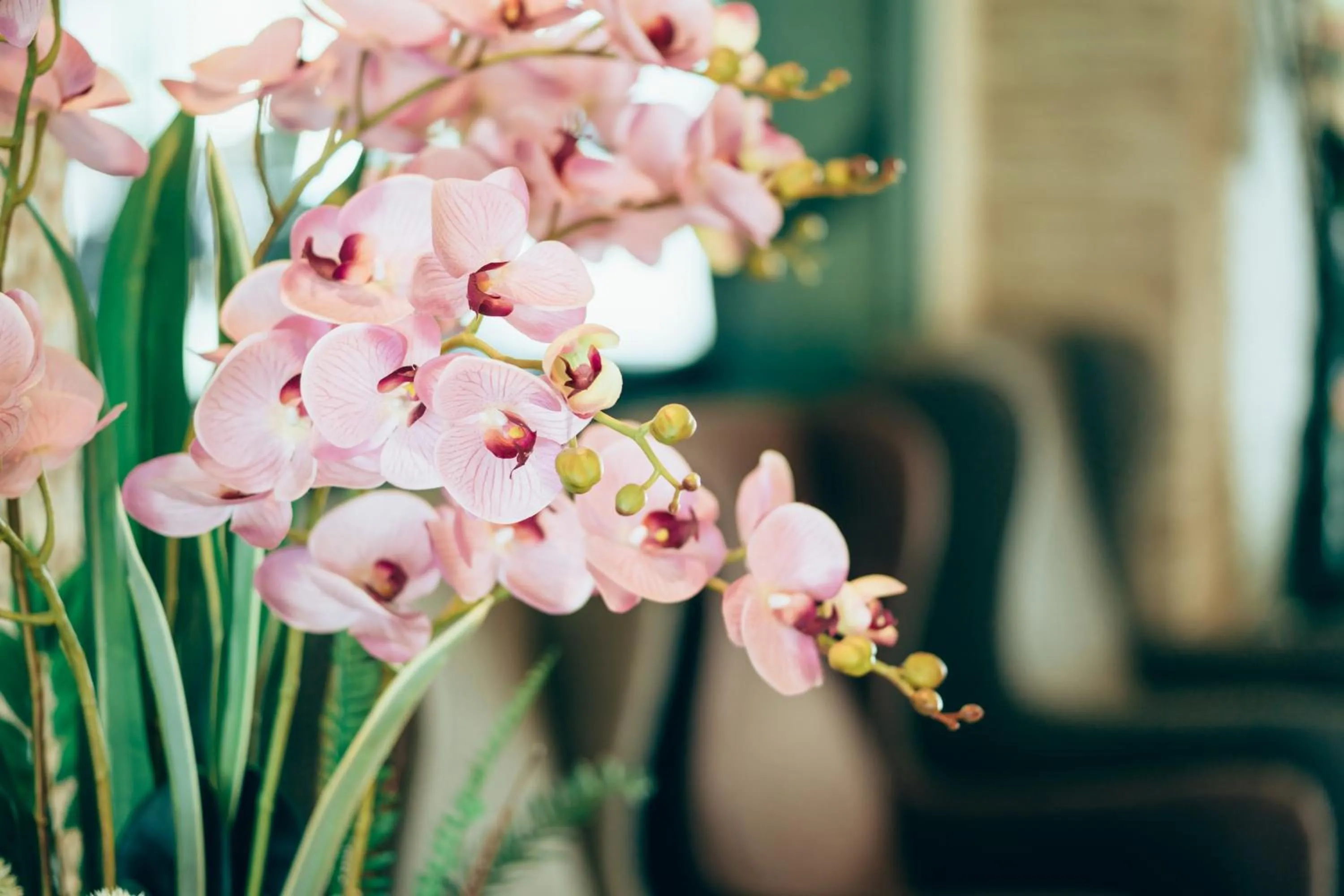 Other in Blue Sky Residence Airport