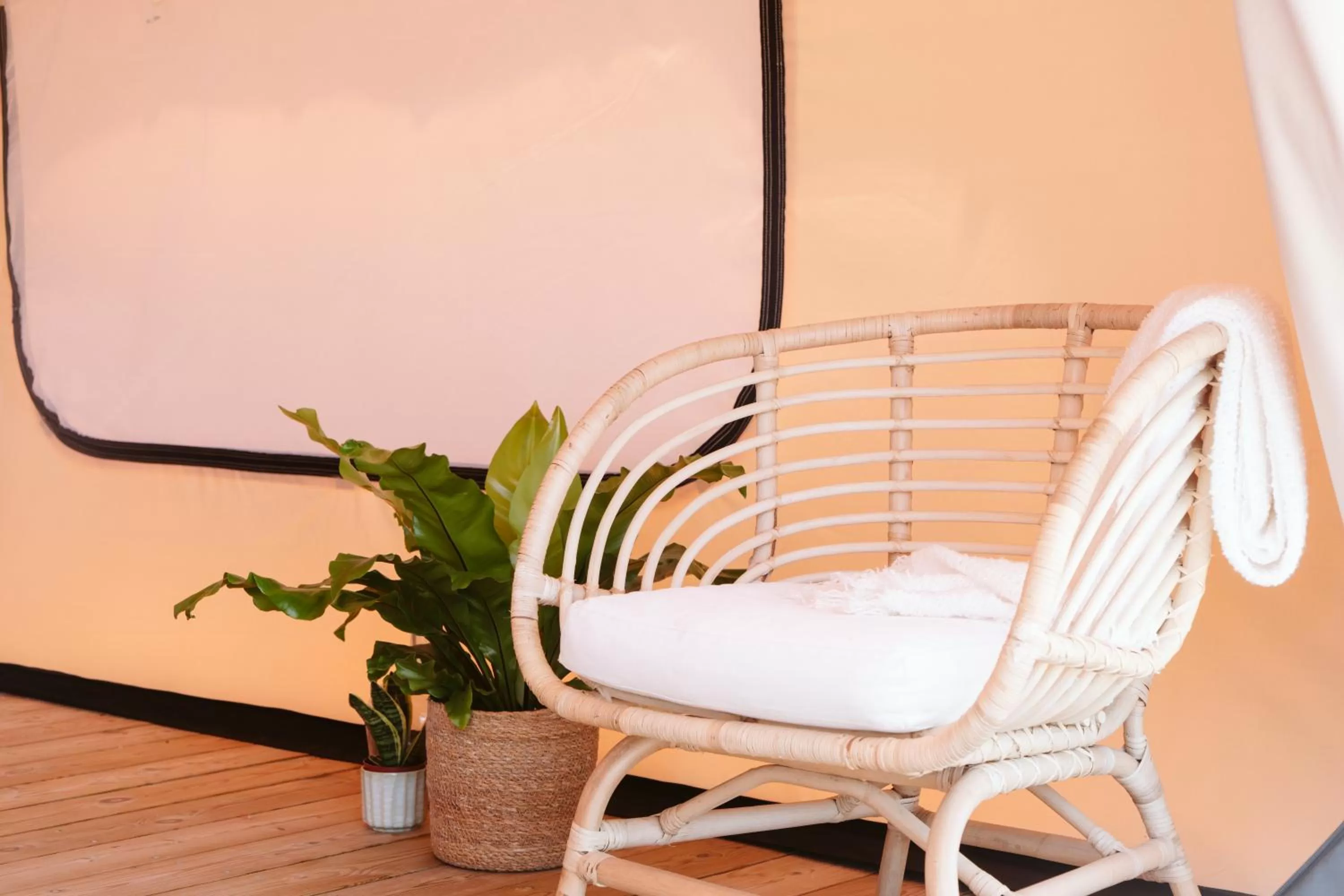 Dreamsea Surf Guest House